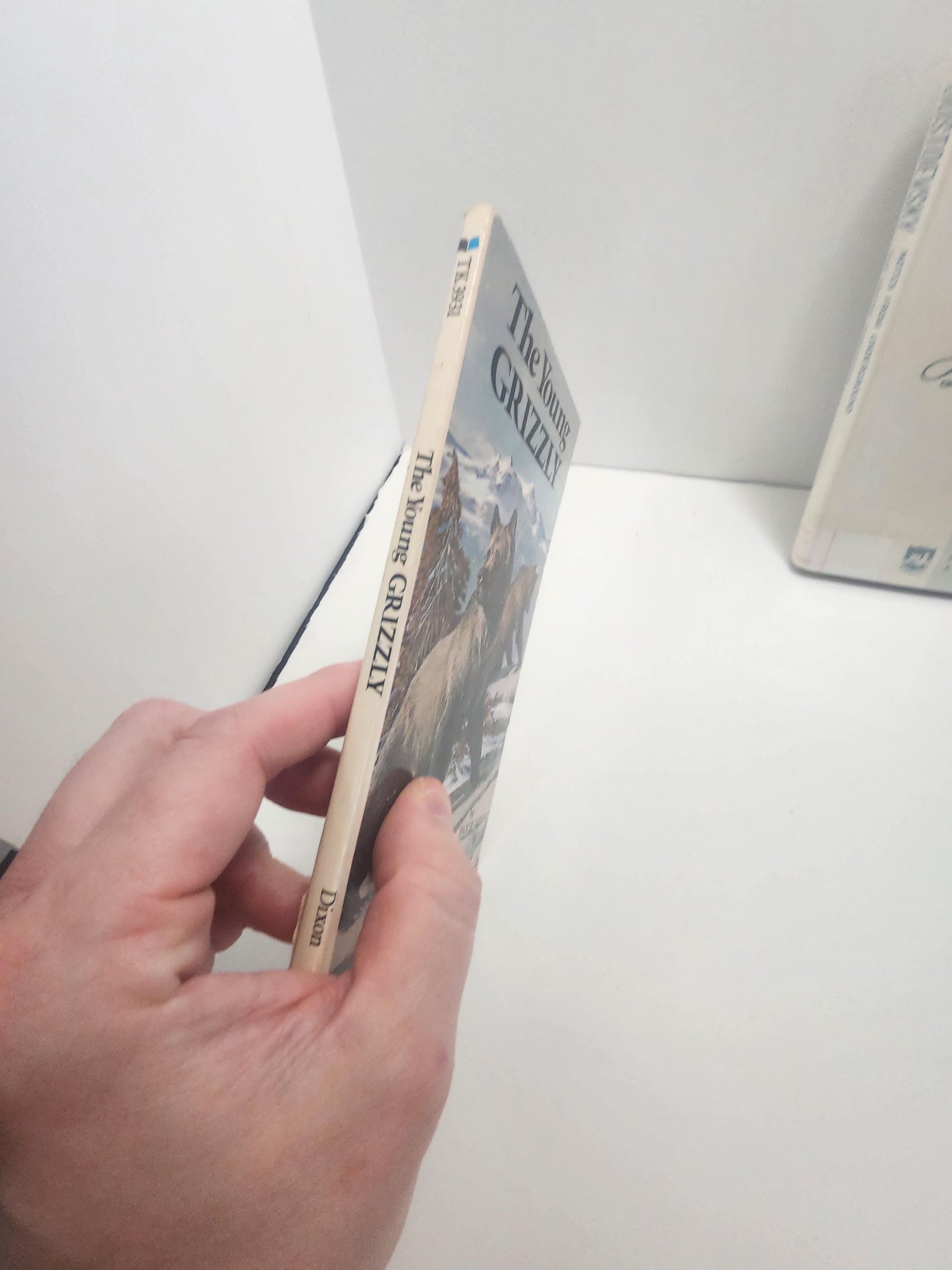 1974 The Young Grizzly By Paige Dixon - Paige Dixon - The Young Grizzly - 1970s - Vintage Books - Paperback Books - Paige Dixon Books