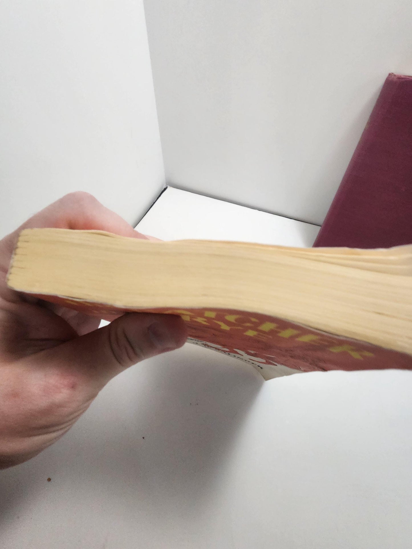 1979 The Catcher in the Rye by J. D. Salinger - 1970's - Vintage Books - Popular Books - J D Salinger - Salinger Books - Catcher In The Rye