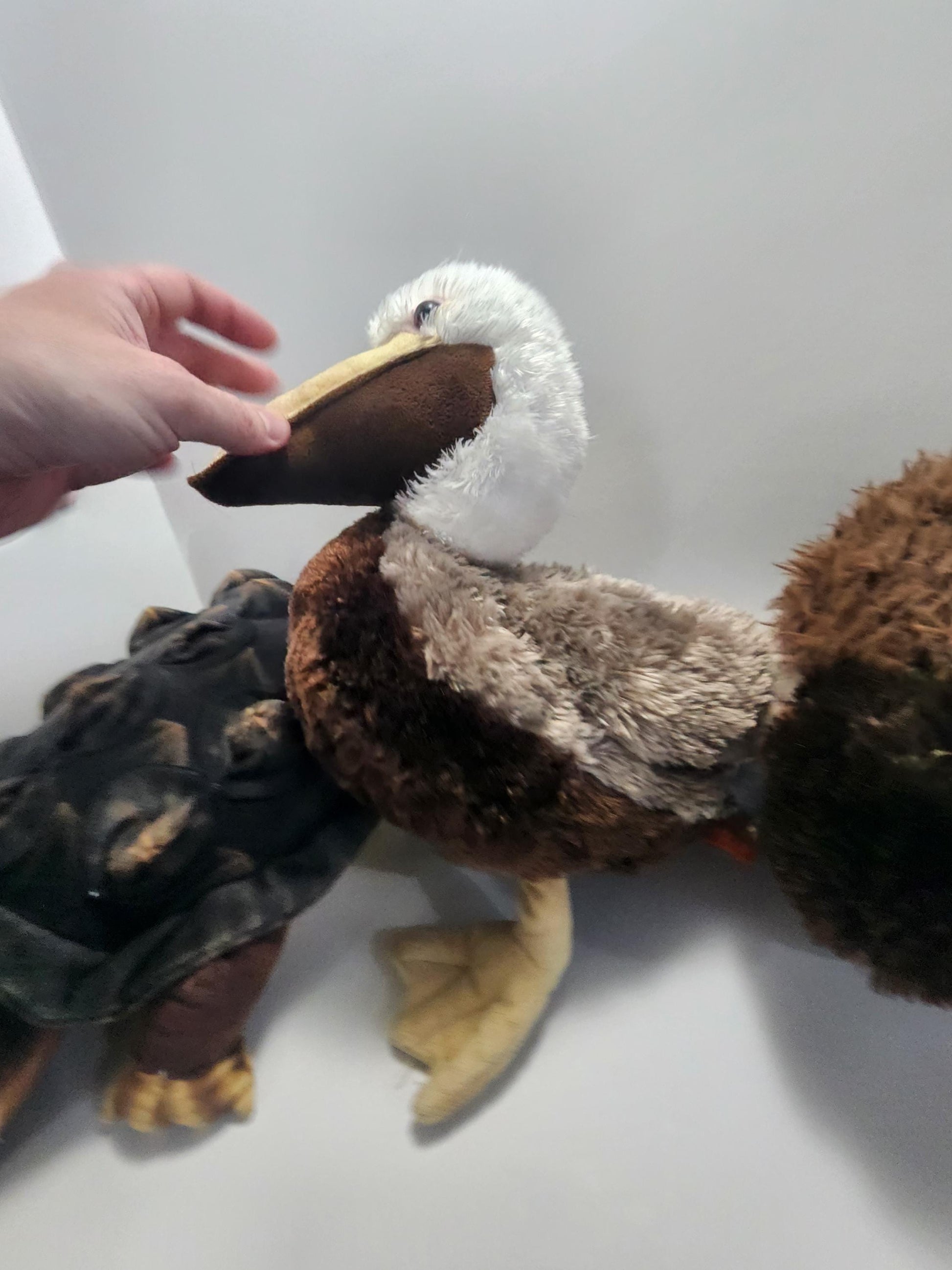 Wild Republic Stuffed Animals - Buffalo - Pelican - Snapping Turtle - Turtles - Animals - Zoo - Gift Shop - Wild Republic - Stuffed Animals