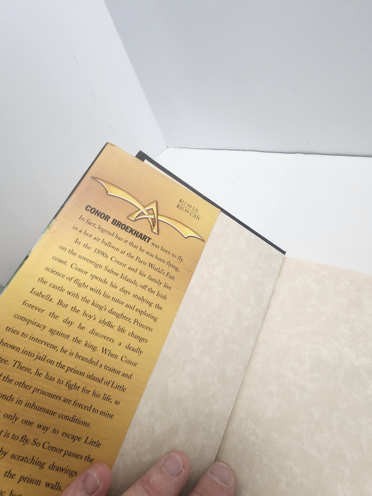 Airman by Eoin Colfer In Hardcover Edition - Airman - Airman Book - Hardcover Books - Eoin Colfer - Eoin Colfer Books