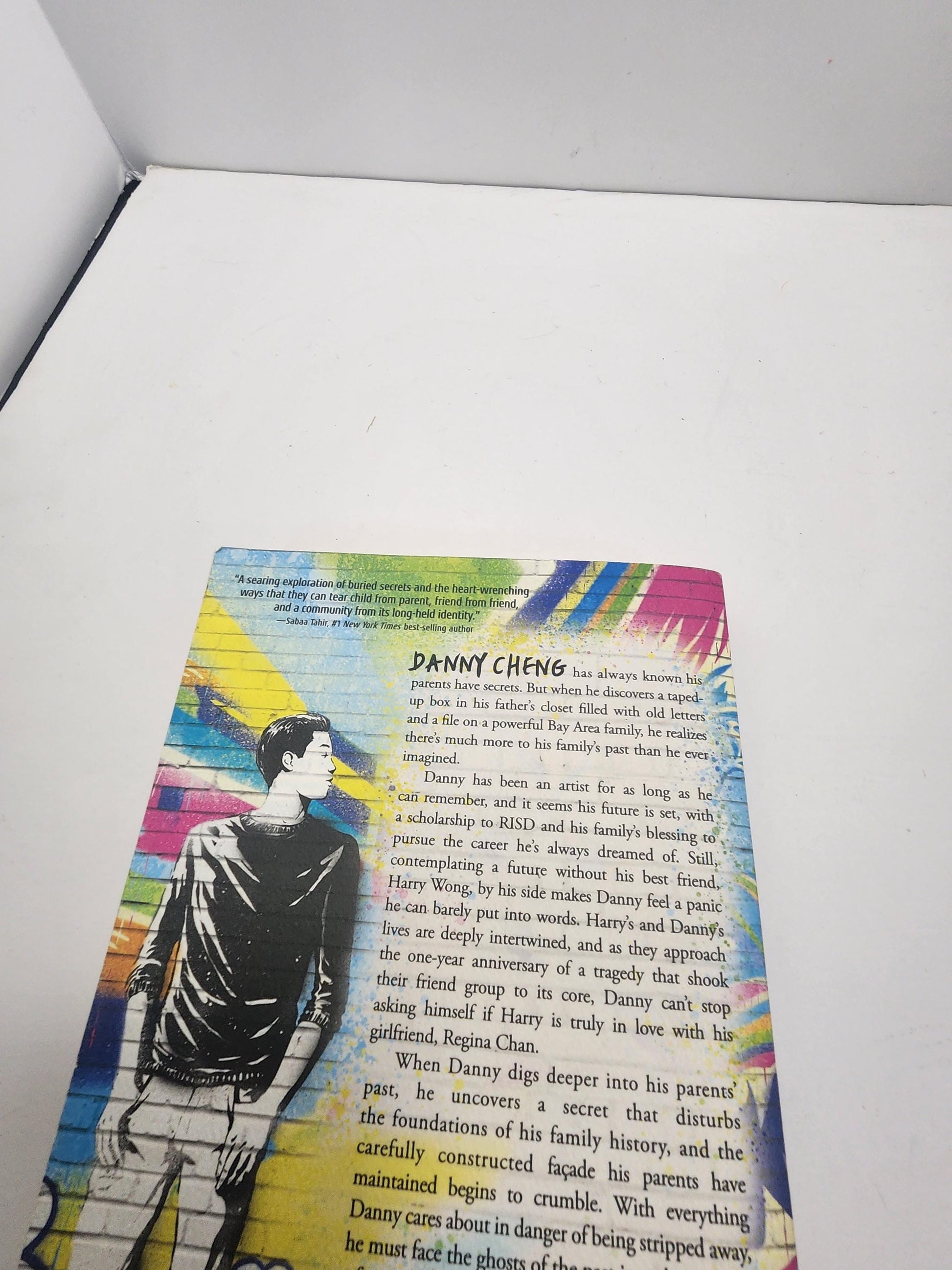 Picture Us in the Light by Kelly Loy Gilbert A Stonewall Honor Club Book - Honor Books - Picture Us In The Light - Young Adult Books