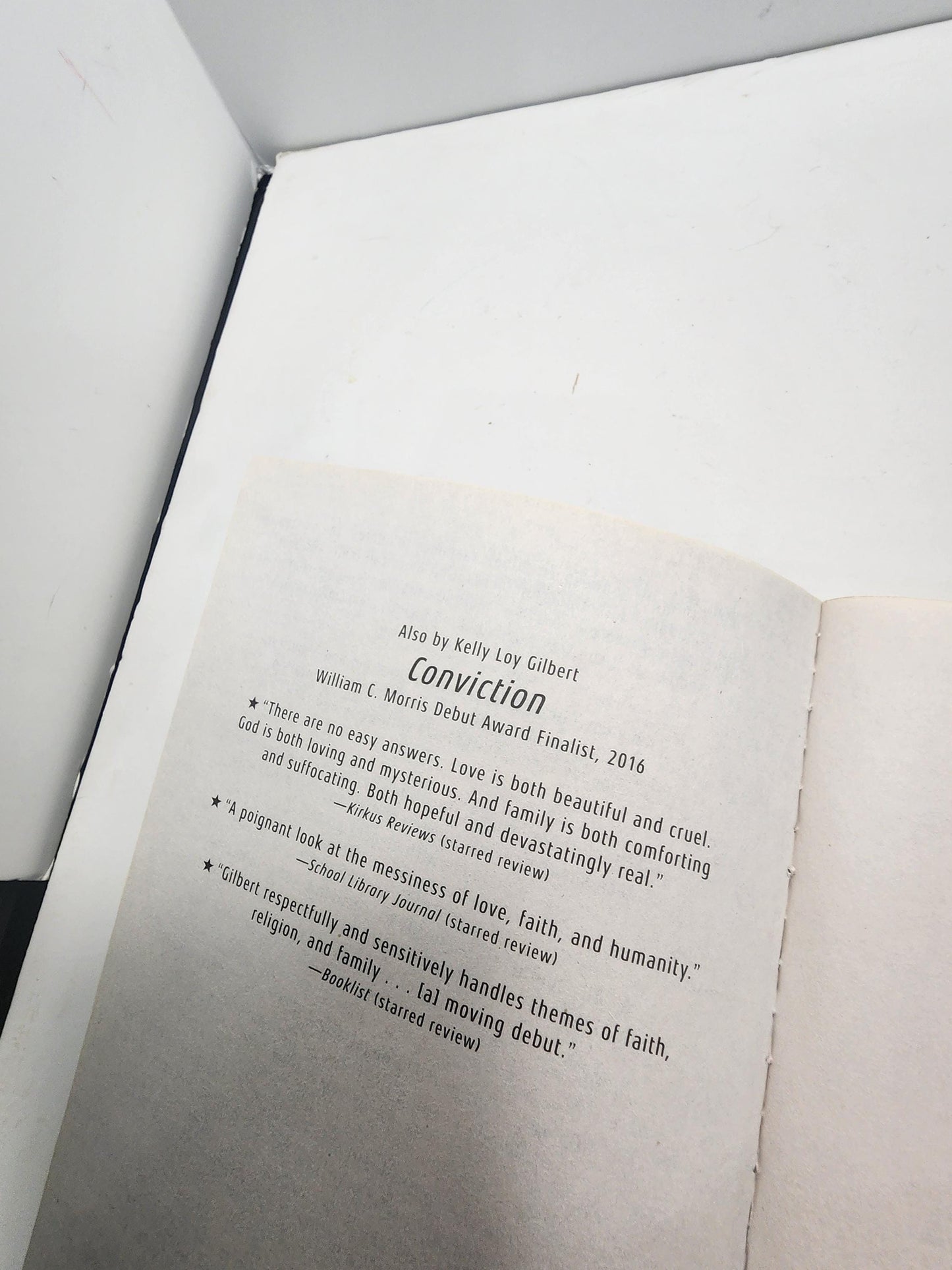 Picture Us in the Light by Kelly Loy Gilbert A Stonewall Honor Club Book - Honor Books - Picture Us In The Light - Young Adult Books