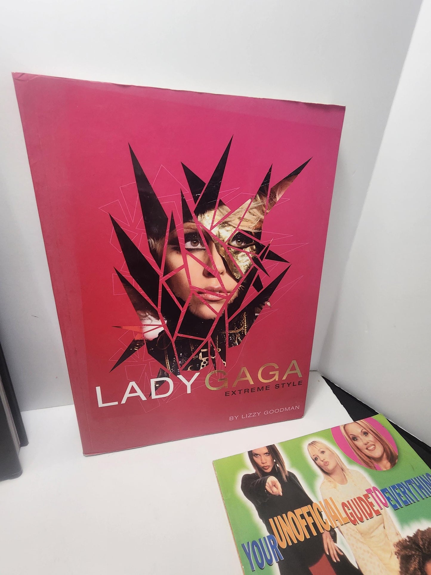 2000's Vintage Popular Music Bands Books LOT - Lady Gaga - U2 - LFO - Backstreet Boys - Boy Bands - Music - Books - Jay Z - Taylor Swift