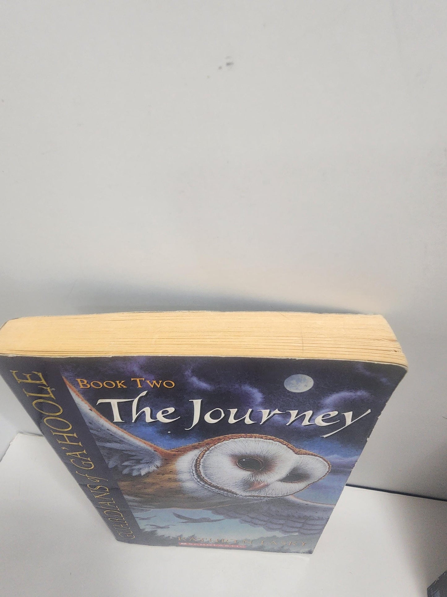The Journey, which is the second book in the Guardians of Ga'Hoole series by author Kathryn Lasky - The Journey - Kathryn Lasky - Guardians
