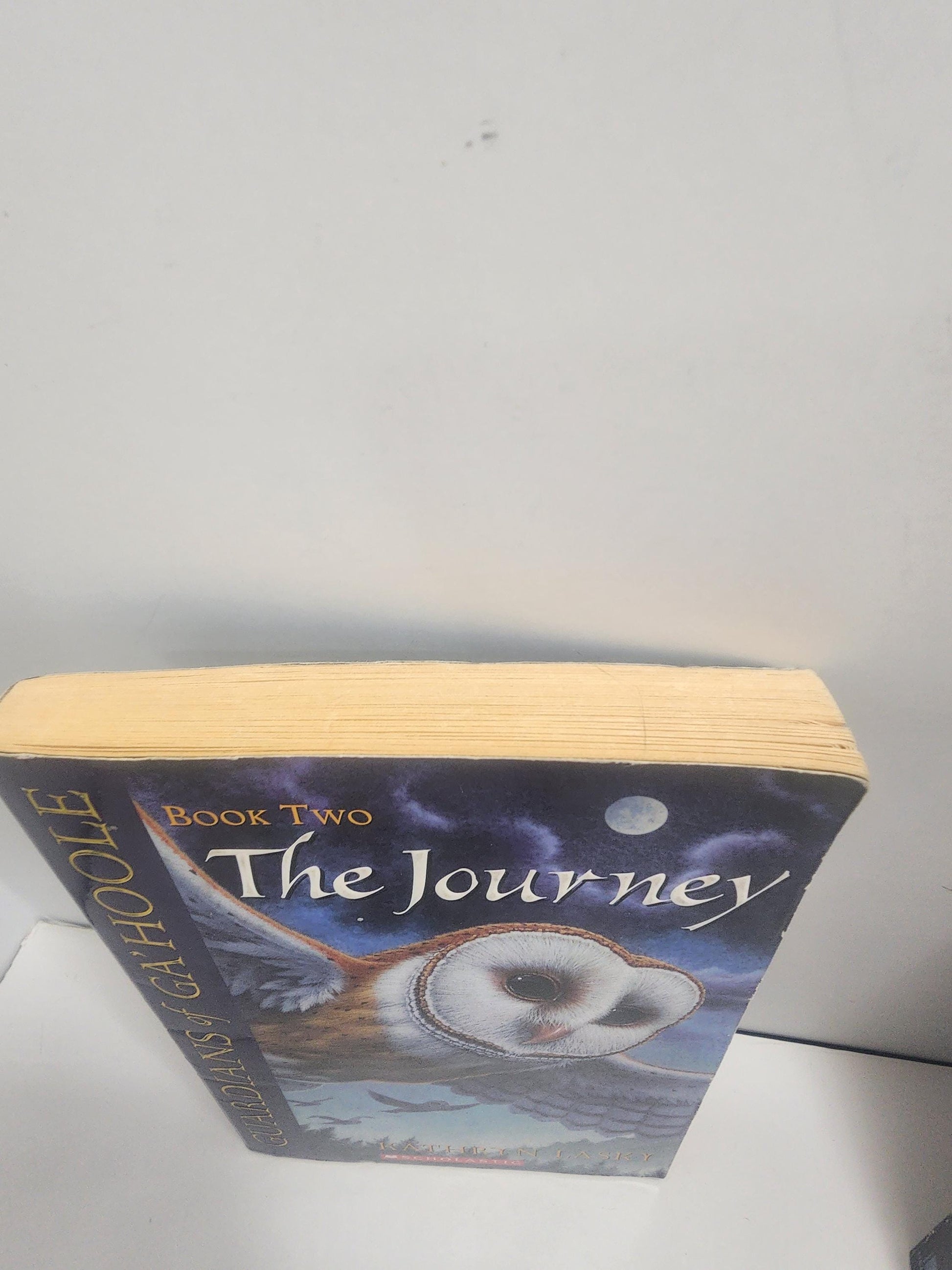 The Journey, which is the second book in the Guardians of Ga'Hoole series by author Kathryn Lasky - The Journey - Kathryn Lasky - Guardians