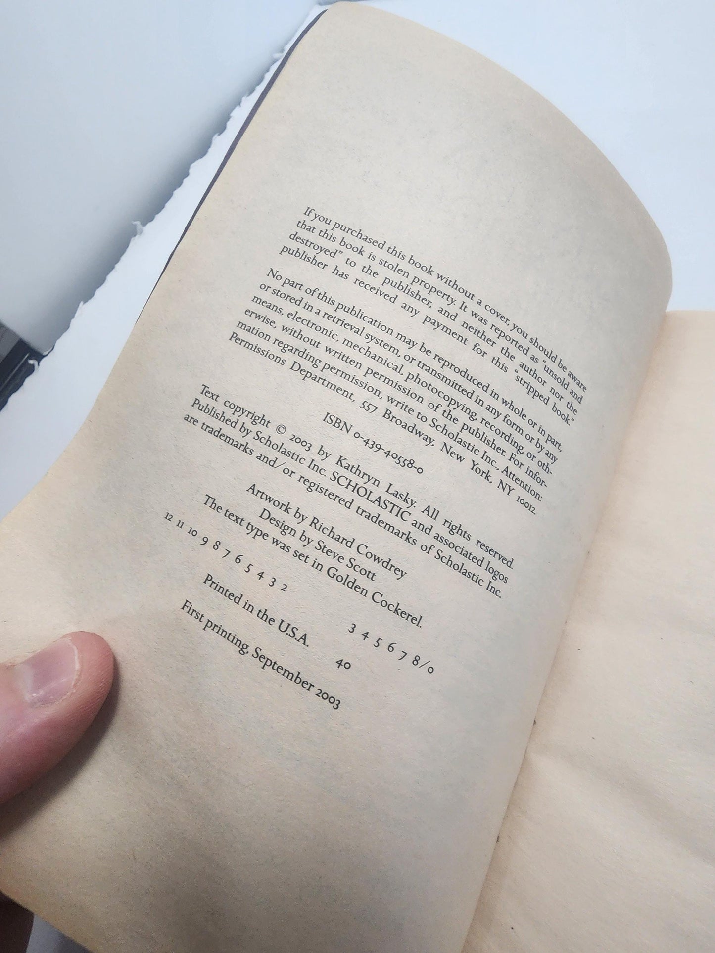The Journey, which is the second book in the Guardians of Ga'Hoole series by author Kathryn Lasky - The Journey - Kathryn Lasky - Guardians