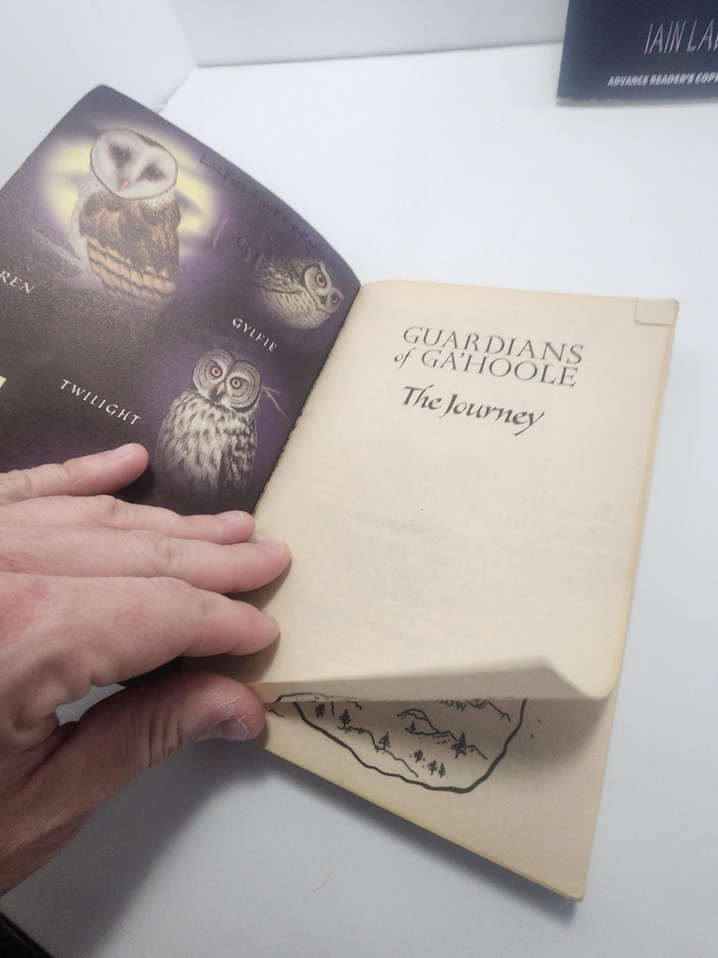 The Journey, which is the second book in the Guardians of Ga'Hoole series by author Kathryn Lasky - The Journey - Kathryn Lasky - Guardians