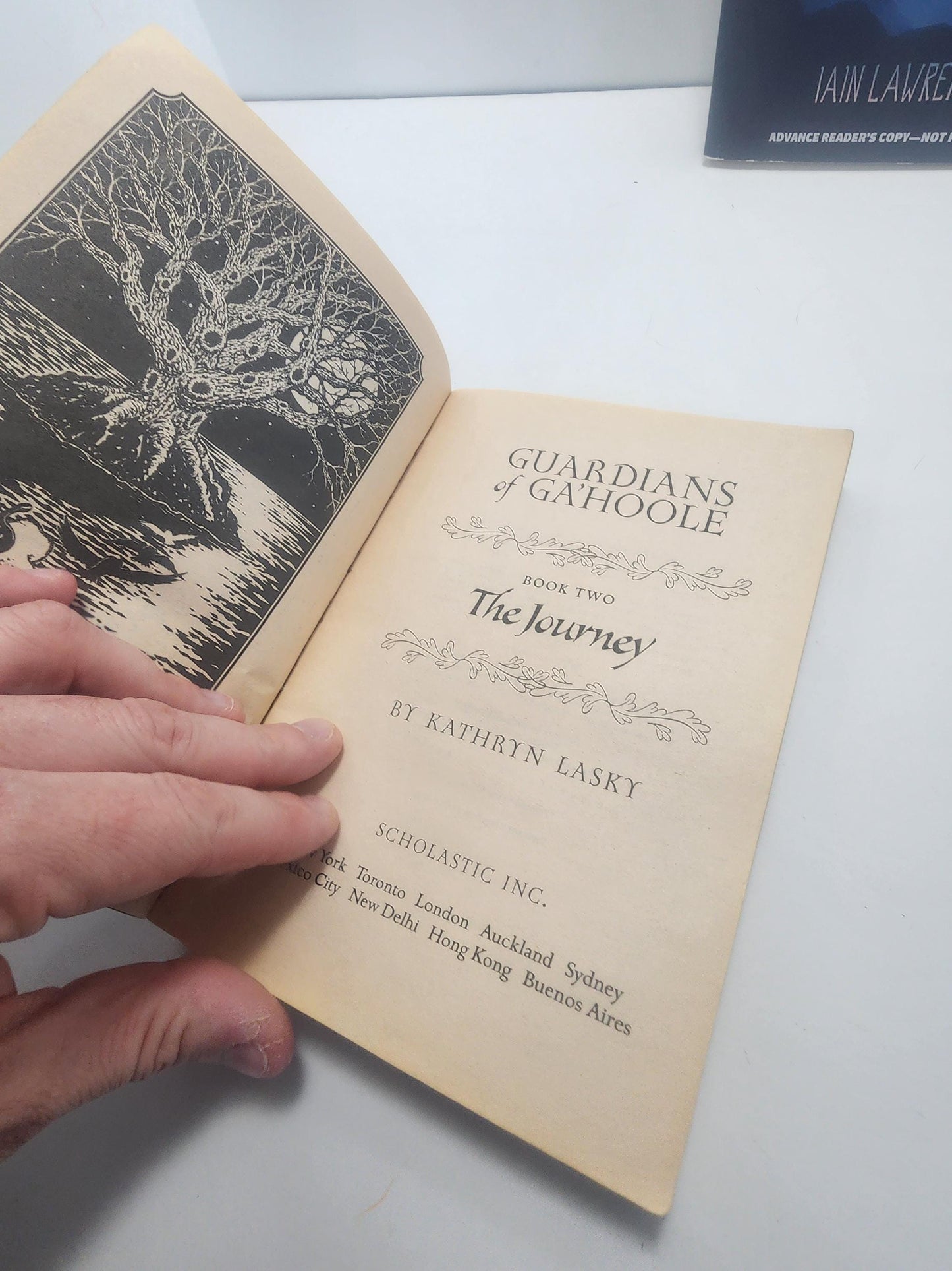 The Journey, which is the second book in the Guardians of Ga'Hoole series by author Kathryn Lasky - The Journey - Kathryn Lasky - Guardians