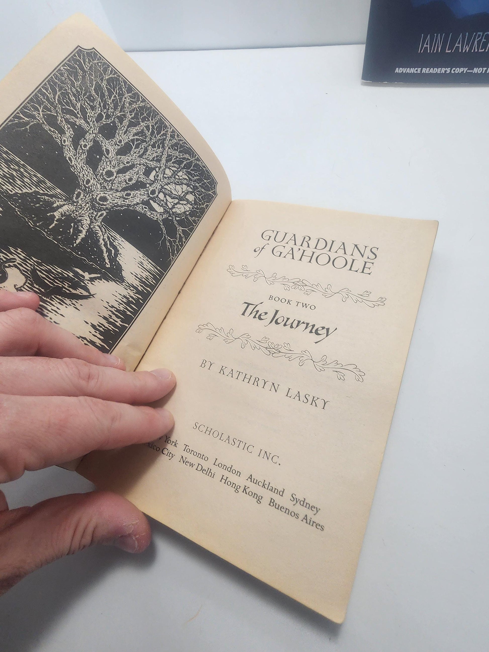 The Journey, which is the second book in the Guardians of Ga'Hoole series by author Kathryn Lasky - The Journey - Kathryn Lasky - Guardians