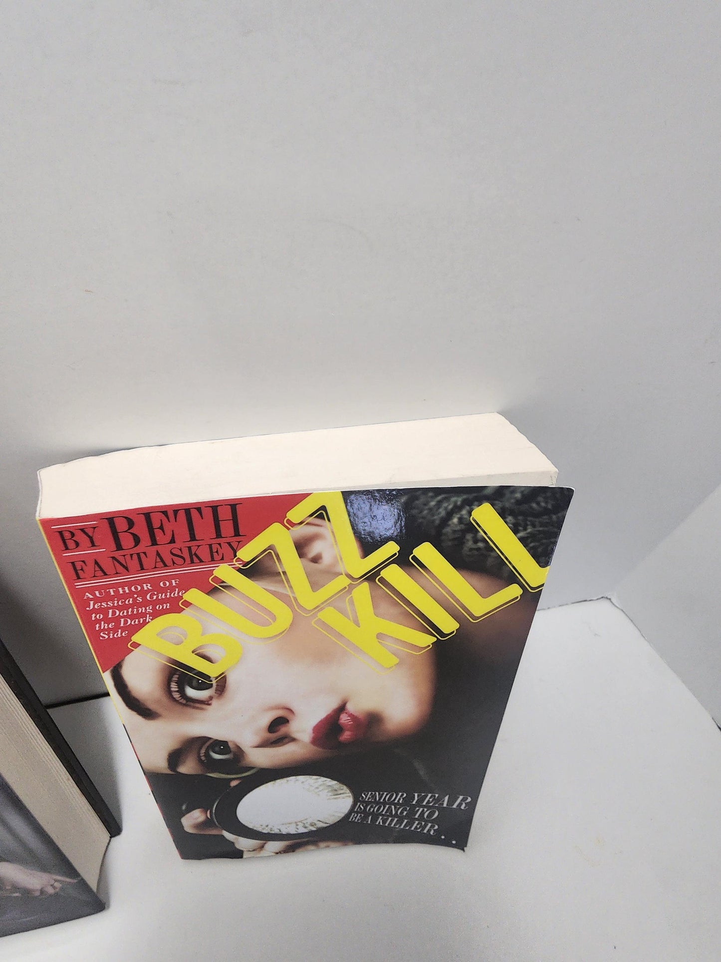 Beth Fantaskey Books LOT Of 2 - Buzzkill - Buzz Kill - Buzzkill Book - Beth Fantaskey - Jessica Rules The Dark Side