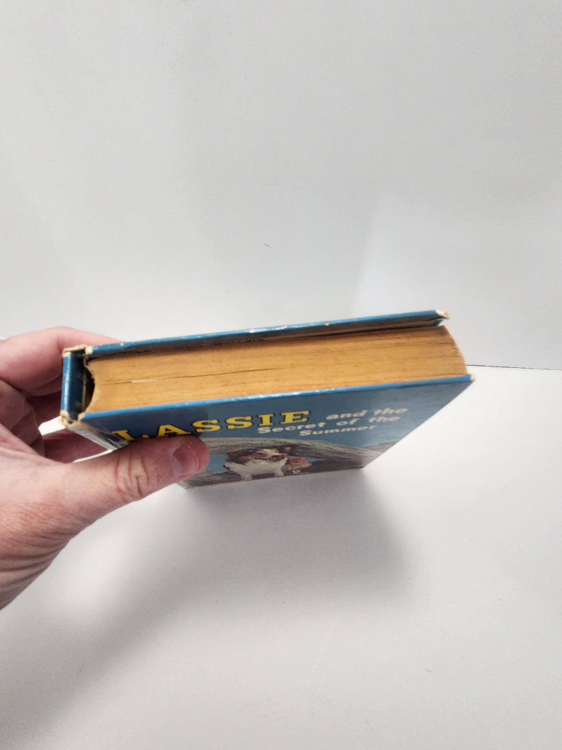 1950's Classic Lassie And The Secret Of Summer Vintage Book - Books - Vintage Books - Lassie - Lassie Book