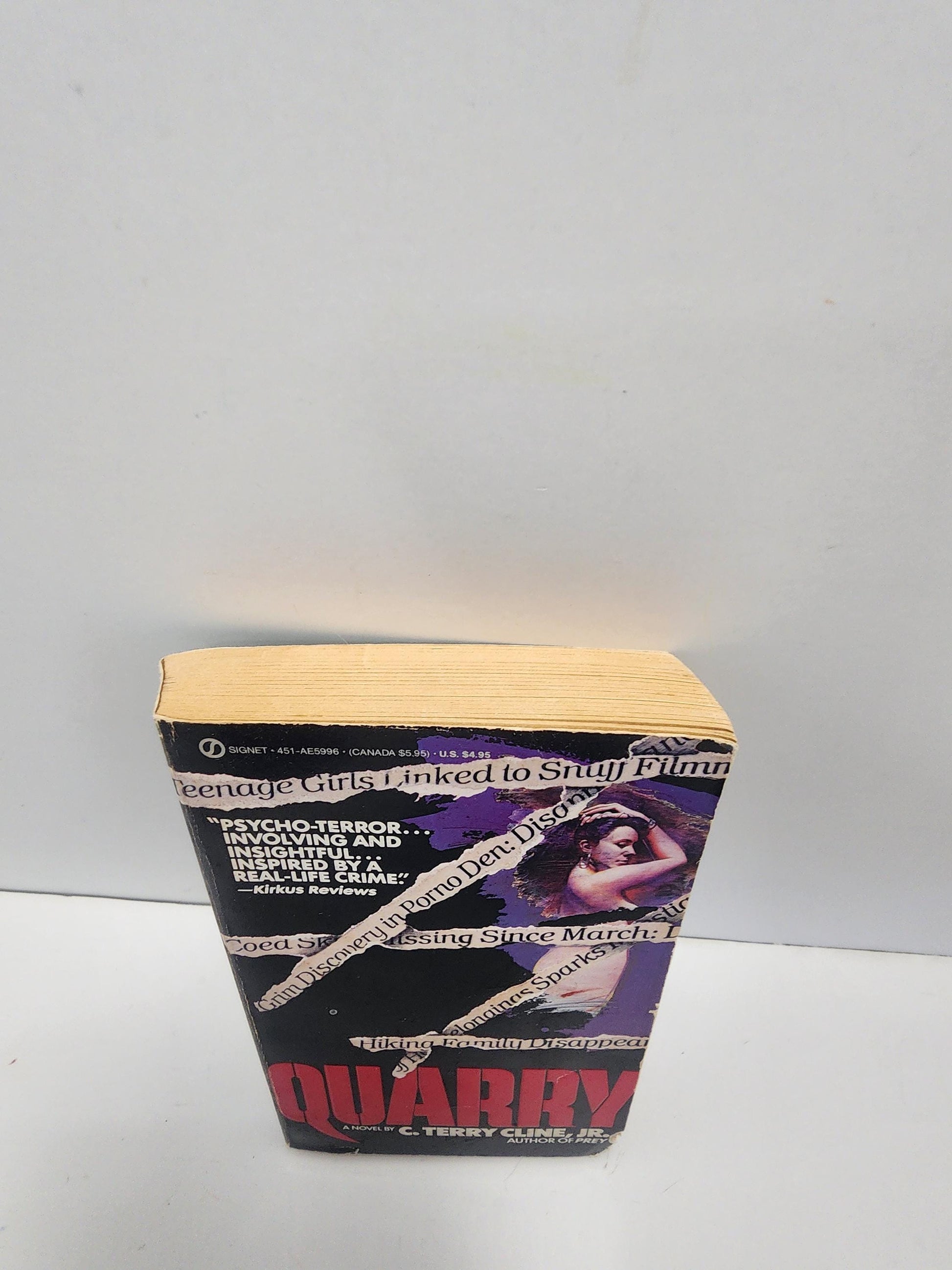 Quarry By Terry Cline JR 1980's Psycho Terror Thriller Vintage Book - Psycho - Thriller Books - Terry Cline JR - Terry Cline Books