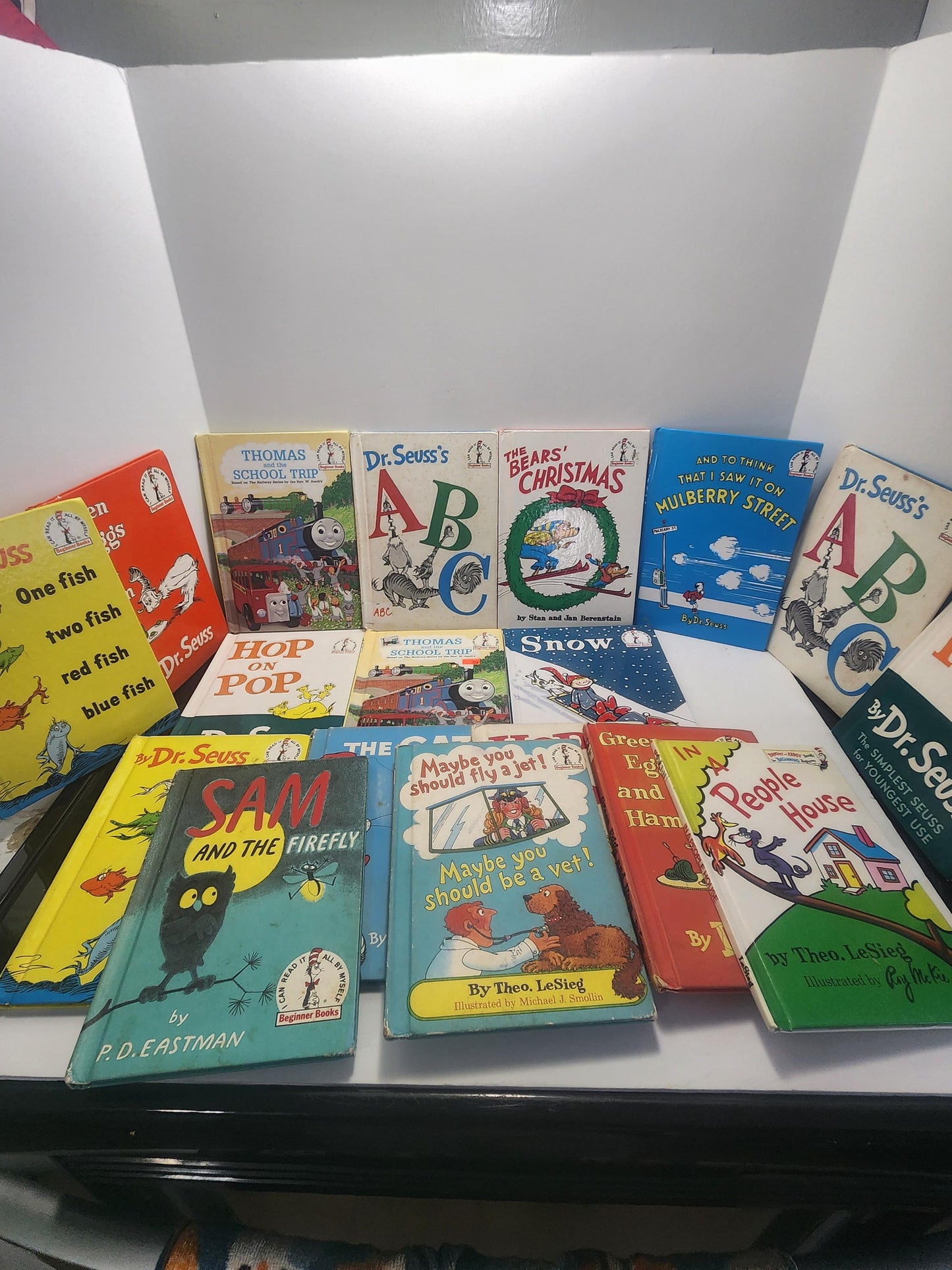 Dr Sues Vintage 1980's 1990's Children's Books LOTS - Cat In The Hat - Dr Suess - Berenstain Bears - 1990's - Children's Books - Vintage Boo