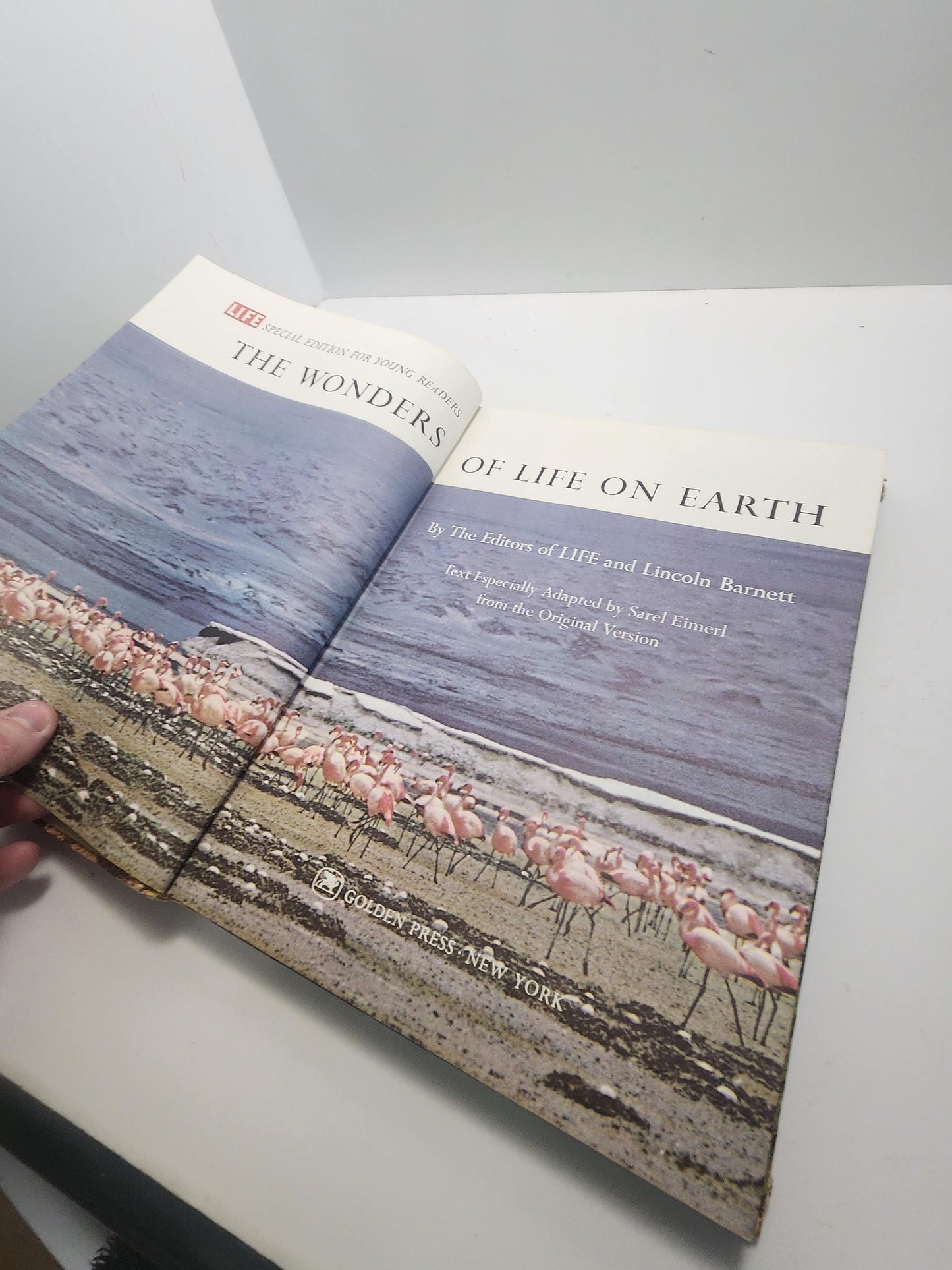 1960's The Wonders Of Life On Earth - Animals - Animal Books - The Wonders Of Life On Earth - 1960's - Animal Gifts - Vintage Books