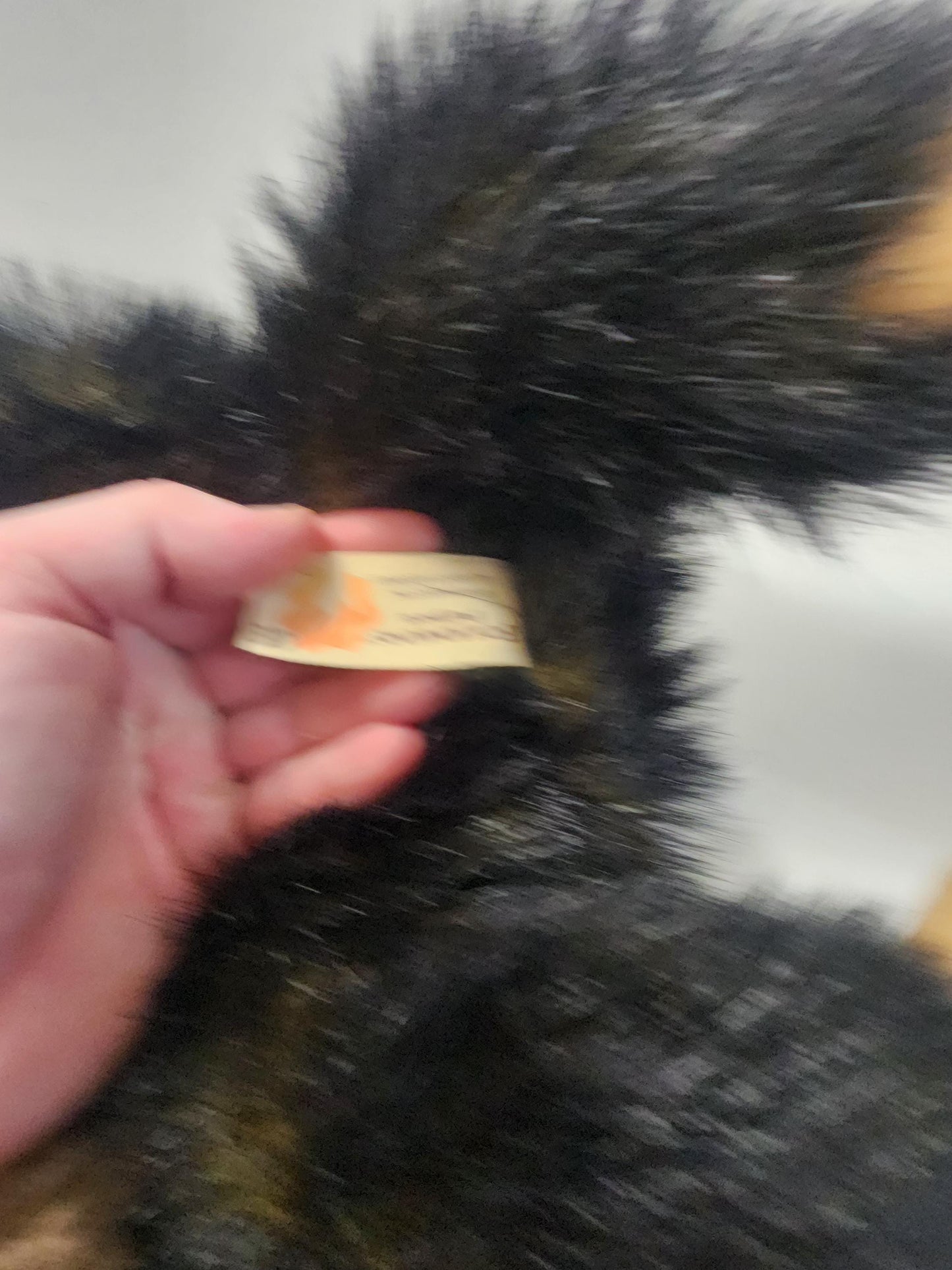 1980's 1990s Vintage Stuffed Animals - Animals - Animal Toys - Plushies - Stuffed Animals - Monkeys - Otter - Tigers