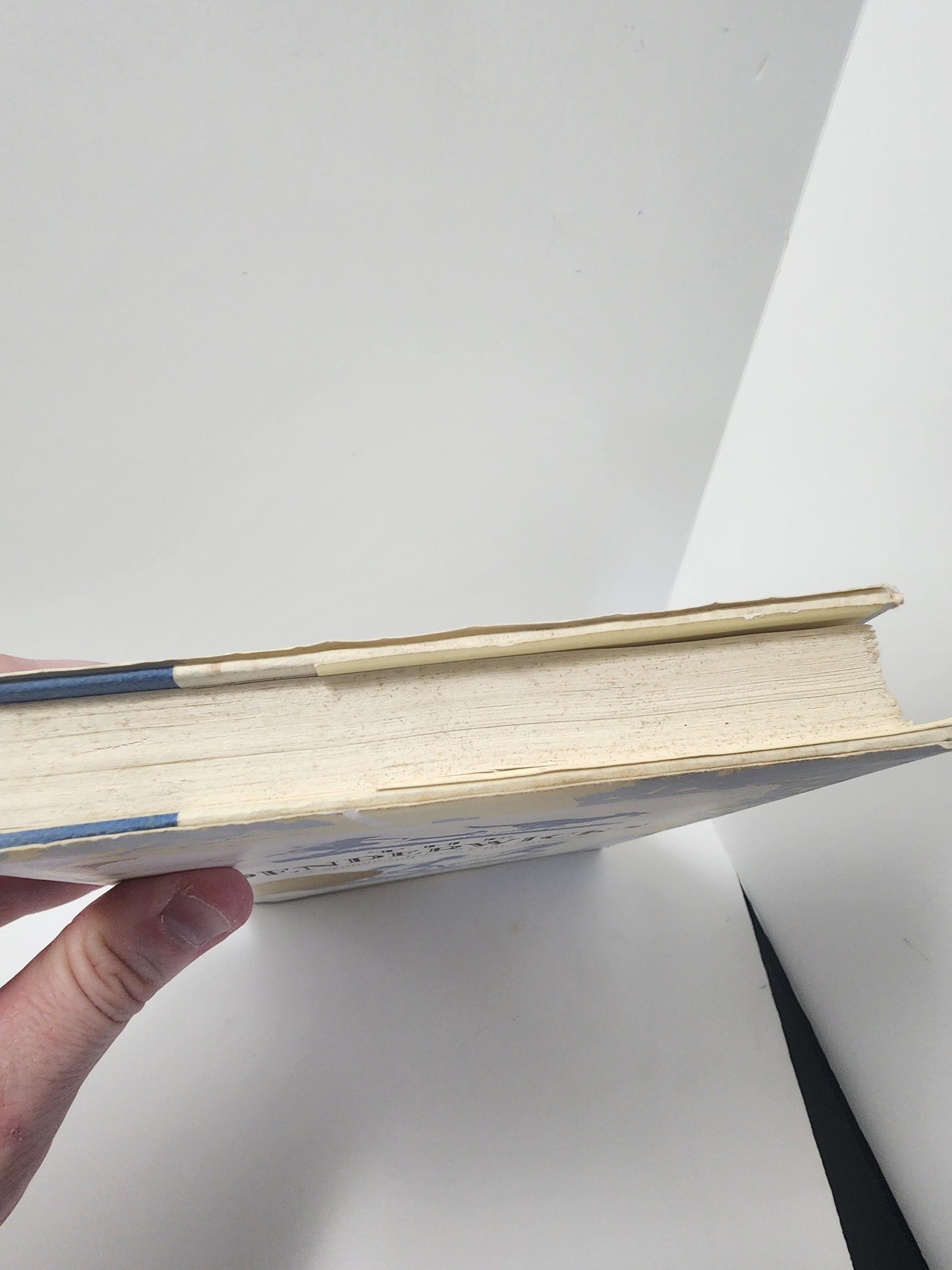 The Penderwicks 2000's Edition By Jeanne Birdsall - Penderwicks - Jeanne Birdsall - Jeanne Birdsall Books - The Penderwicks - Penderwicks