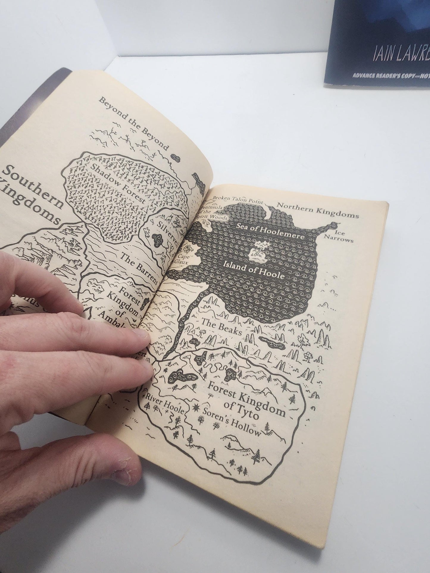 The Journey, which is the second book in the Guardians of Ga'Hoole series by author Kathryn Lasky - The Journey - Kathryn Lasky - Guardians