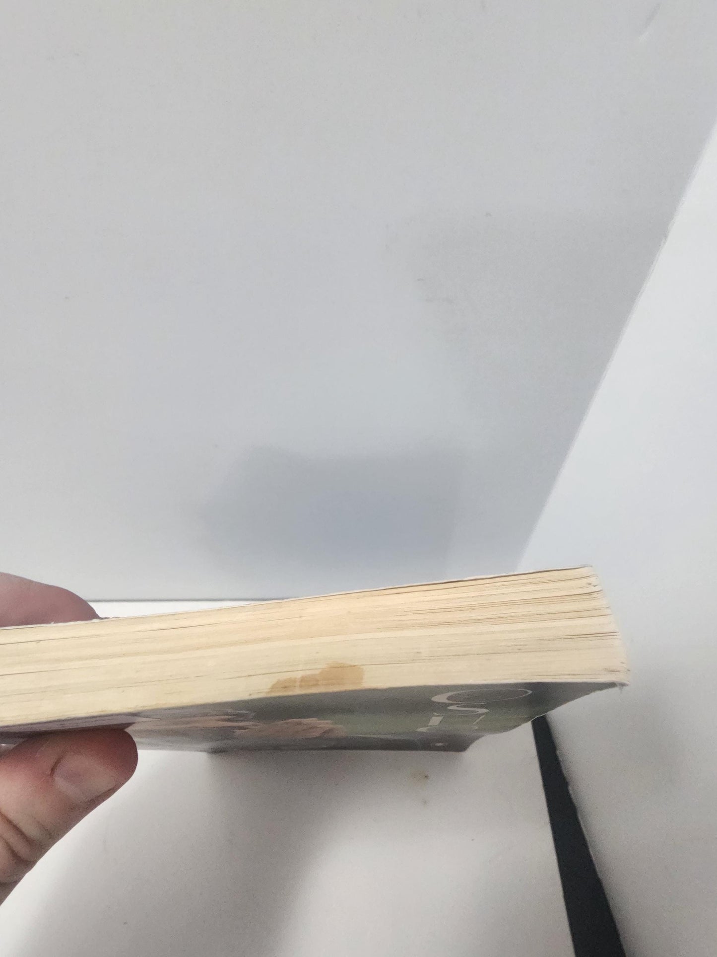 The Essence of Yoga by the spiritual teacher Osho - Yoga - Yoga Books - Essence Of Yoga - Osho - Teacher Osho - Health - Fitness