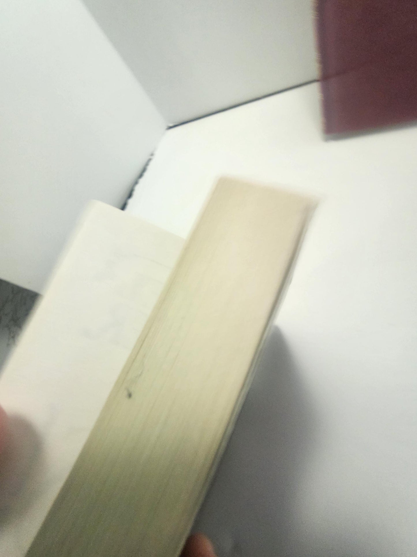 Nightmares! Written by Jason Segel and Kirsten Miller - Jason Segal - Kristen Miller - Nightmares - Books - Halloween - Scary Stories