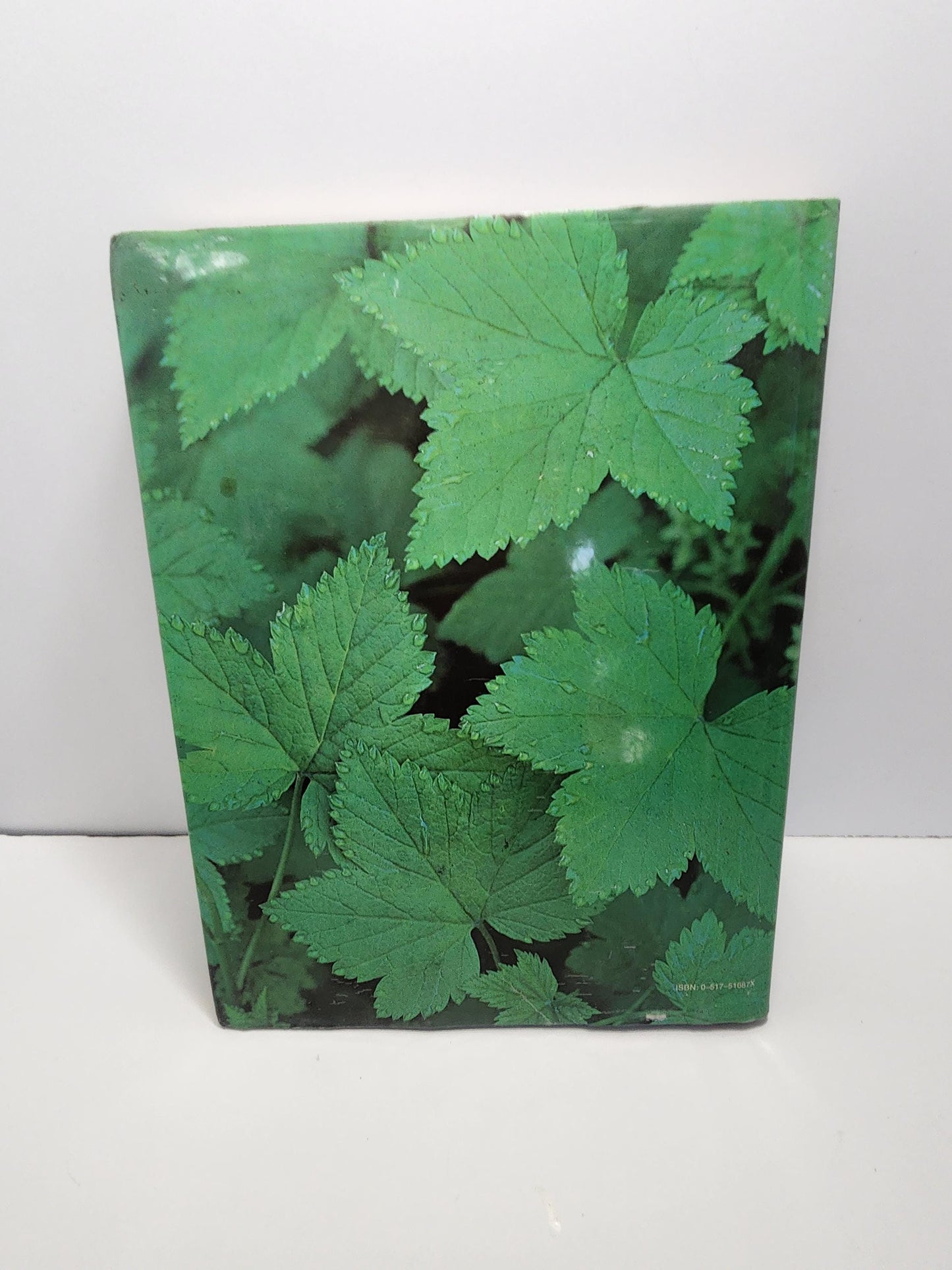 This Good Earth: The View from Audubon Magazine By Les Line 1980's - Magazine Books - Magazines - Audubon Magazine - The Good Earth