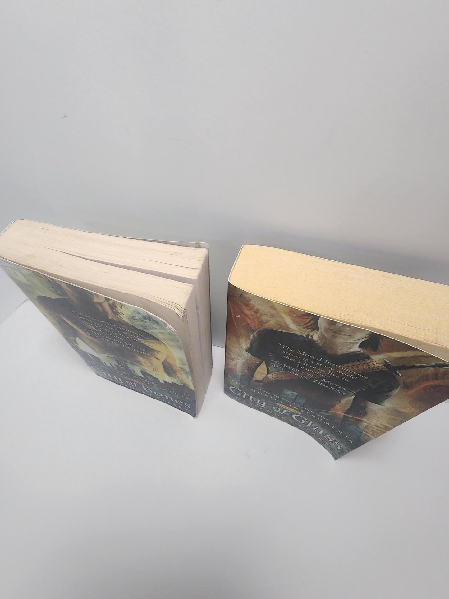 City Of Bones Book Series By Cassandra Clare - Cassandra Clare - Cassandra Clare Books - City Of Bones - Book Series - City Of Bones Books