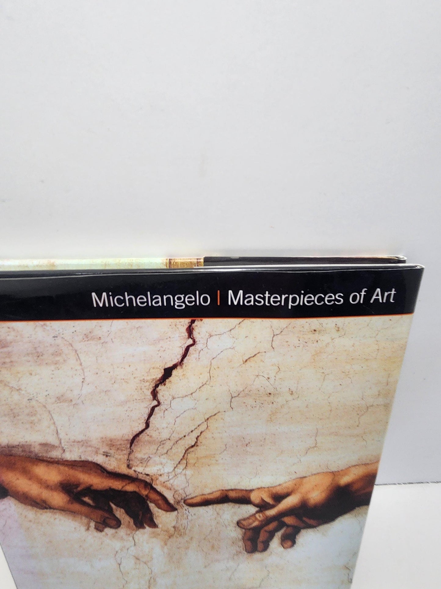 Vintage Michelangelo Masterpieces Of Art Gallery Book - Vintage Books - Gallery - Books - Art - Art Books - Michelangelo - Michelangelo Gift