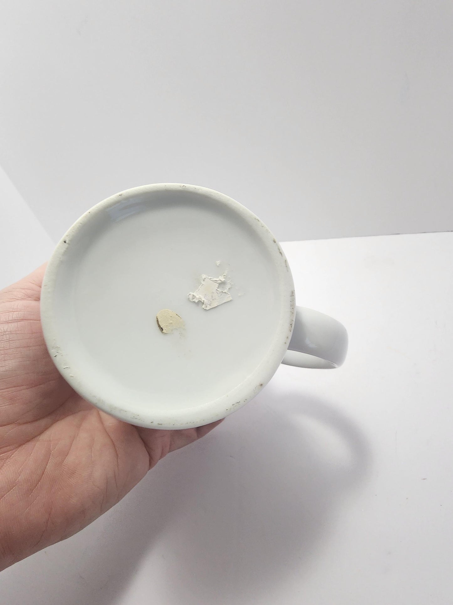 Mosquitoes "The Offical Bird Of Canada" Coffee Mug 1990's - Vintage Mugs - Mugs - Coffee - Gift Mugs - Canada - Mosquitoes - Birds - Gifts