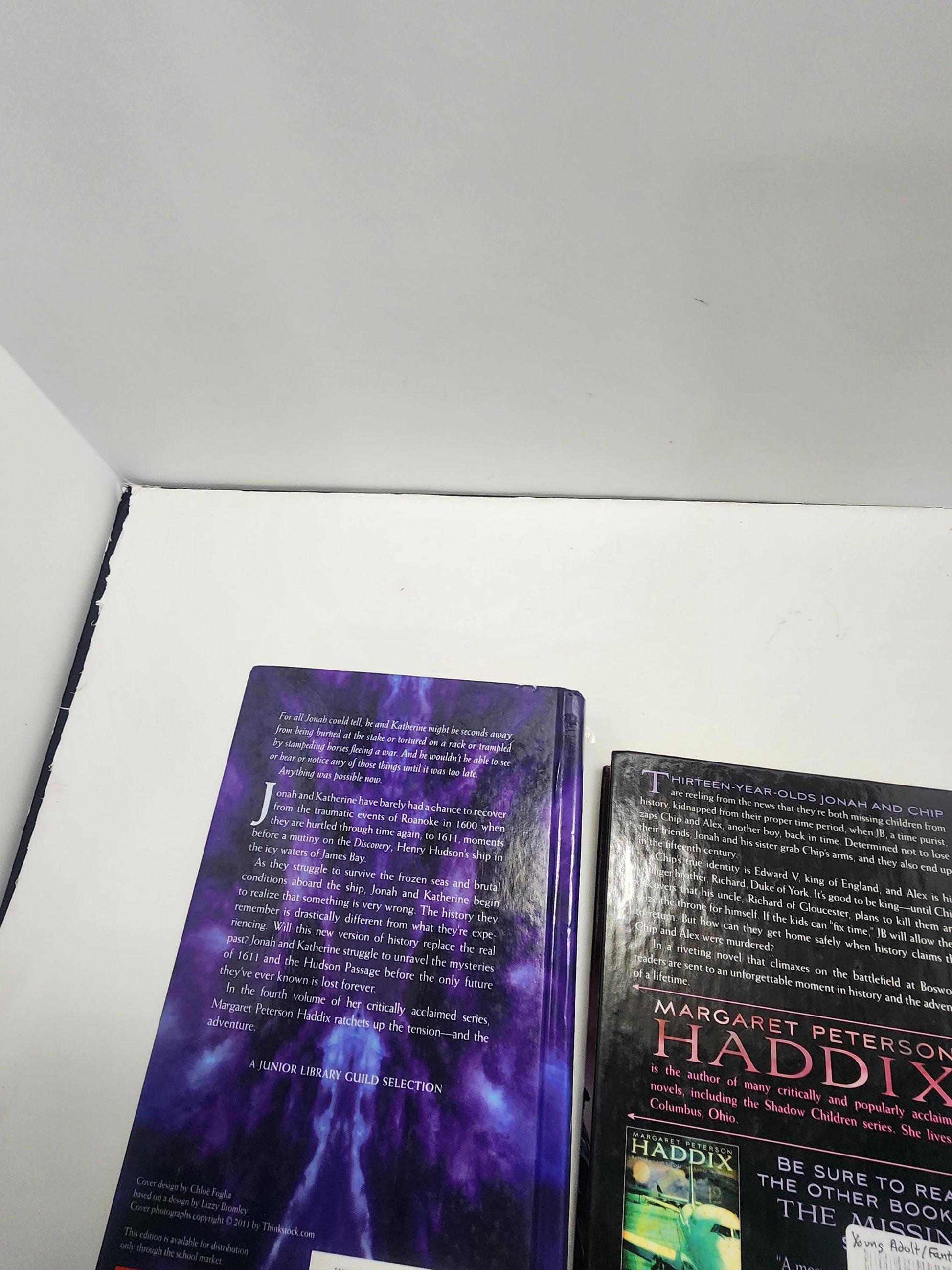 Haddix Book Series By Margaret Peterson LOT Of 2 Books - Haddix - Haddix Series - Haddix Books - Series - Book Series