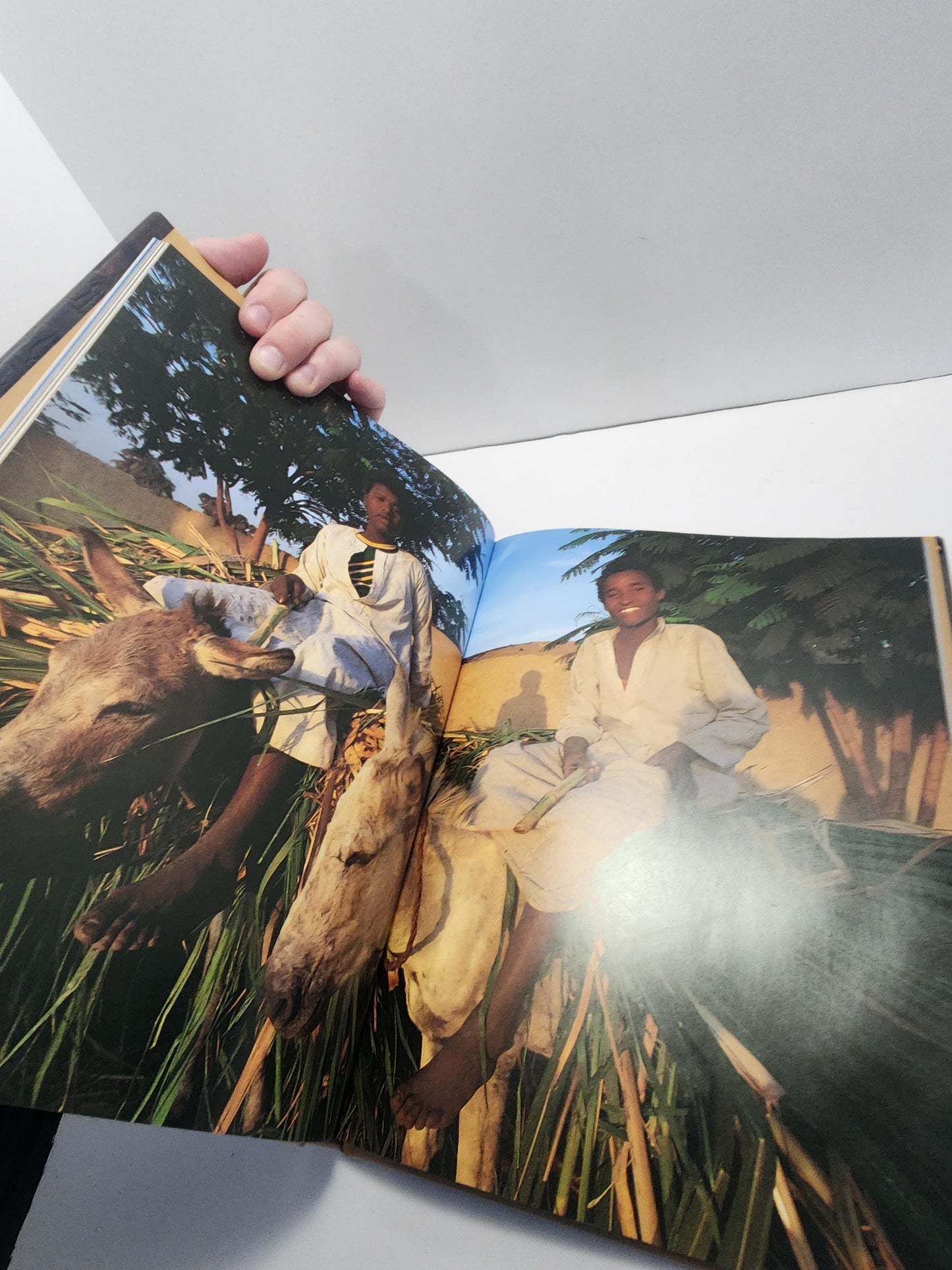 1998 Egypt Books With History, Art, Paintings - Egypt - Egypt Gifts - Egypt Books - History - World History - World Books - 1990s