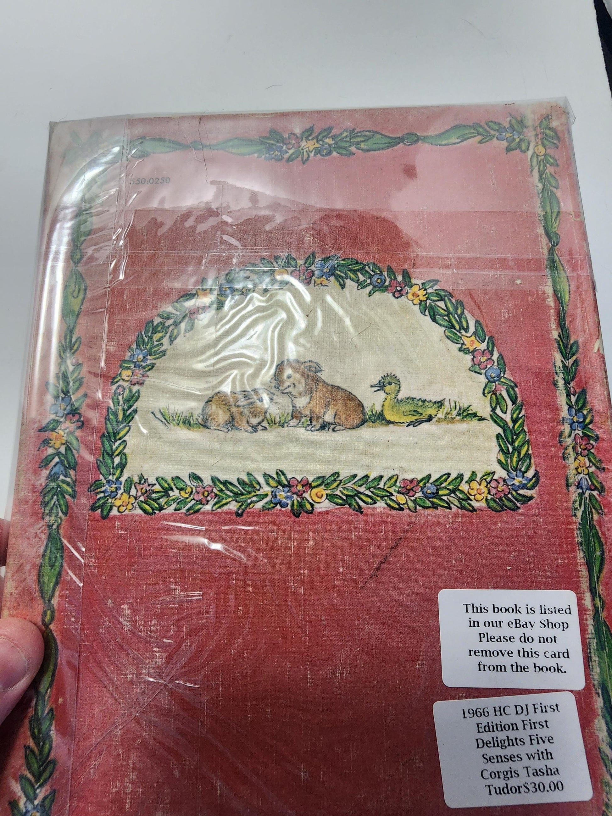 1966 1st Edition Of "First Delights" A Book About Your Five Sense By Tasha Tudor - Tasha Tudor - Tasha Tudor Books - Five Senses - First Del