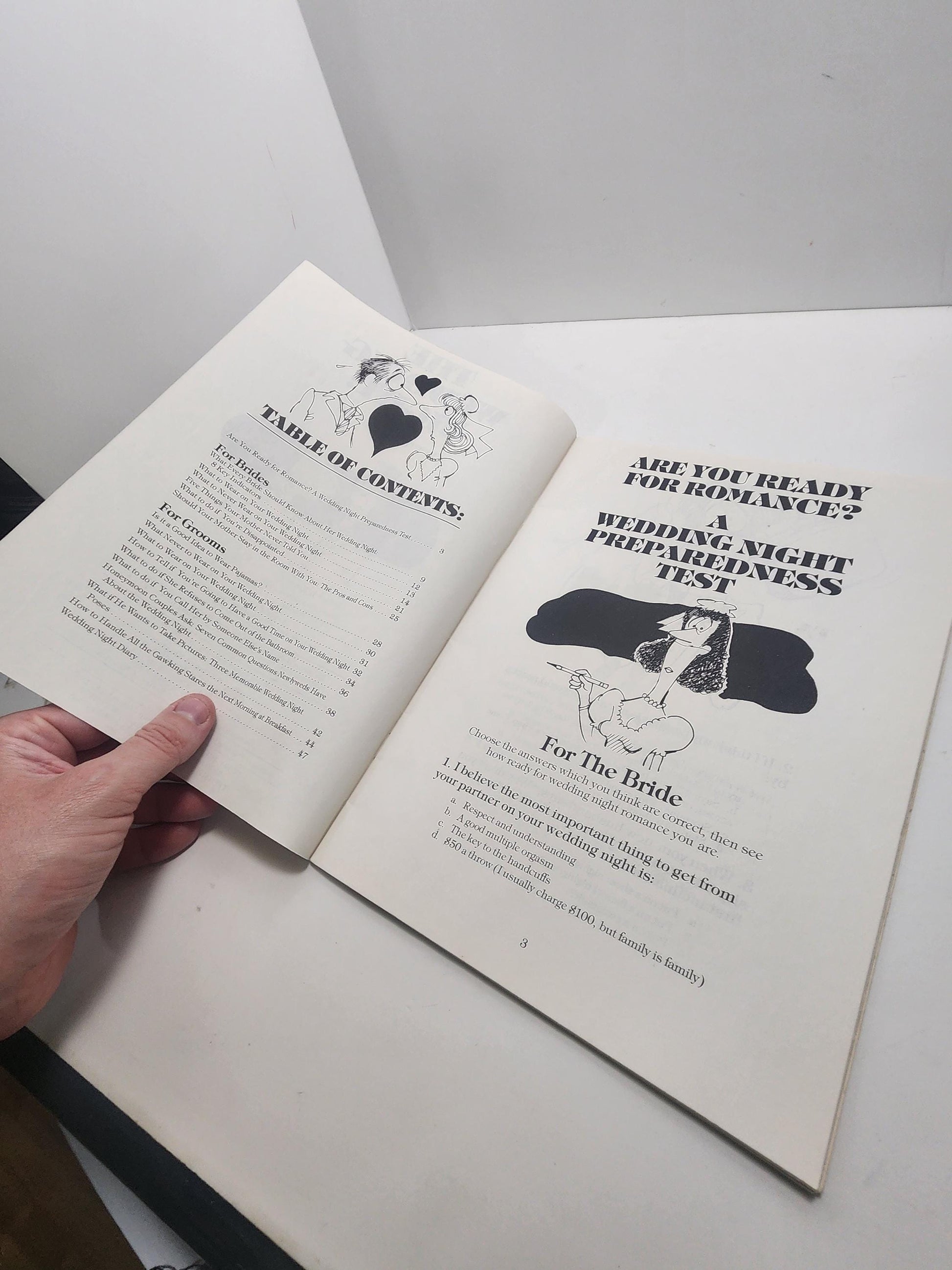 1980's The Wedding Night Cartoon Comic Book By Herbert Kavet - Herbert Kavet - Comics - Cartoons - Vintage Cartoons - Marriage - Wedding Nig