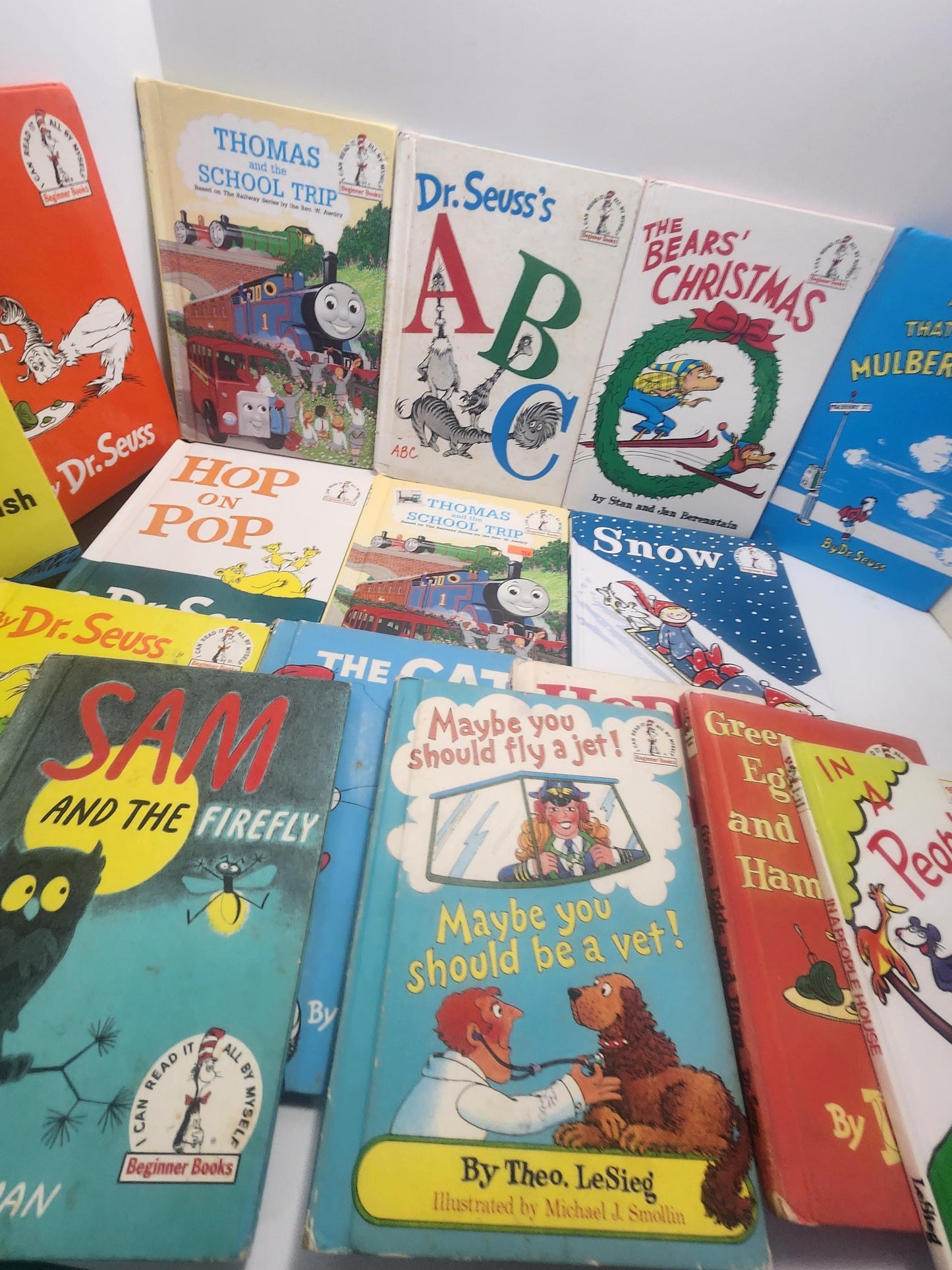 Dr Sues Vintage 1980's 1990's Children's Books LOTS - Cat In The Hat - Dr Suess - Berenstain Bears - 1990's - Children's Books - Vintage Boo