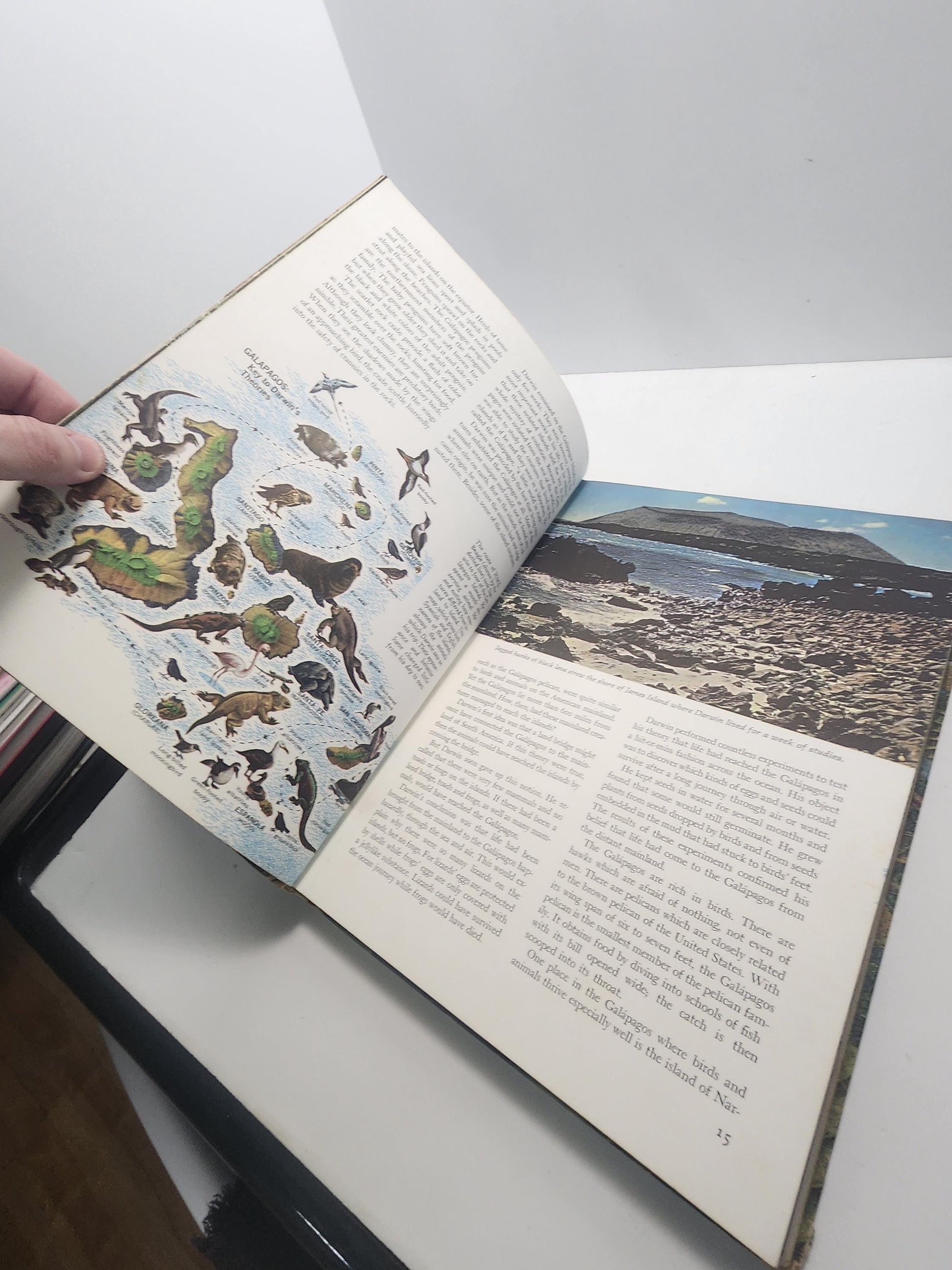 1960's The Wonders Of Life On Earth - Animals - Animal Books - The Wonders Of Life On Earth - 1960's - Animal Gifts - Vintage Books