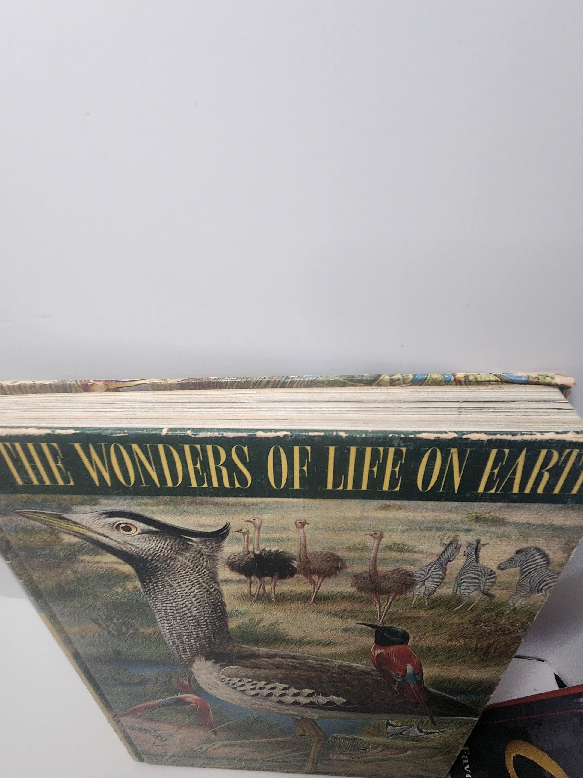 1960's The Wonders Of Life On Earth - Animals - Animal Books - The Wonders Of Life On Earth - 1960's - Animal Gifts - Vintage Books