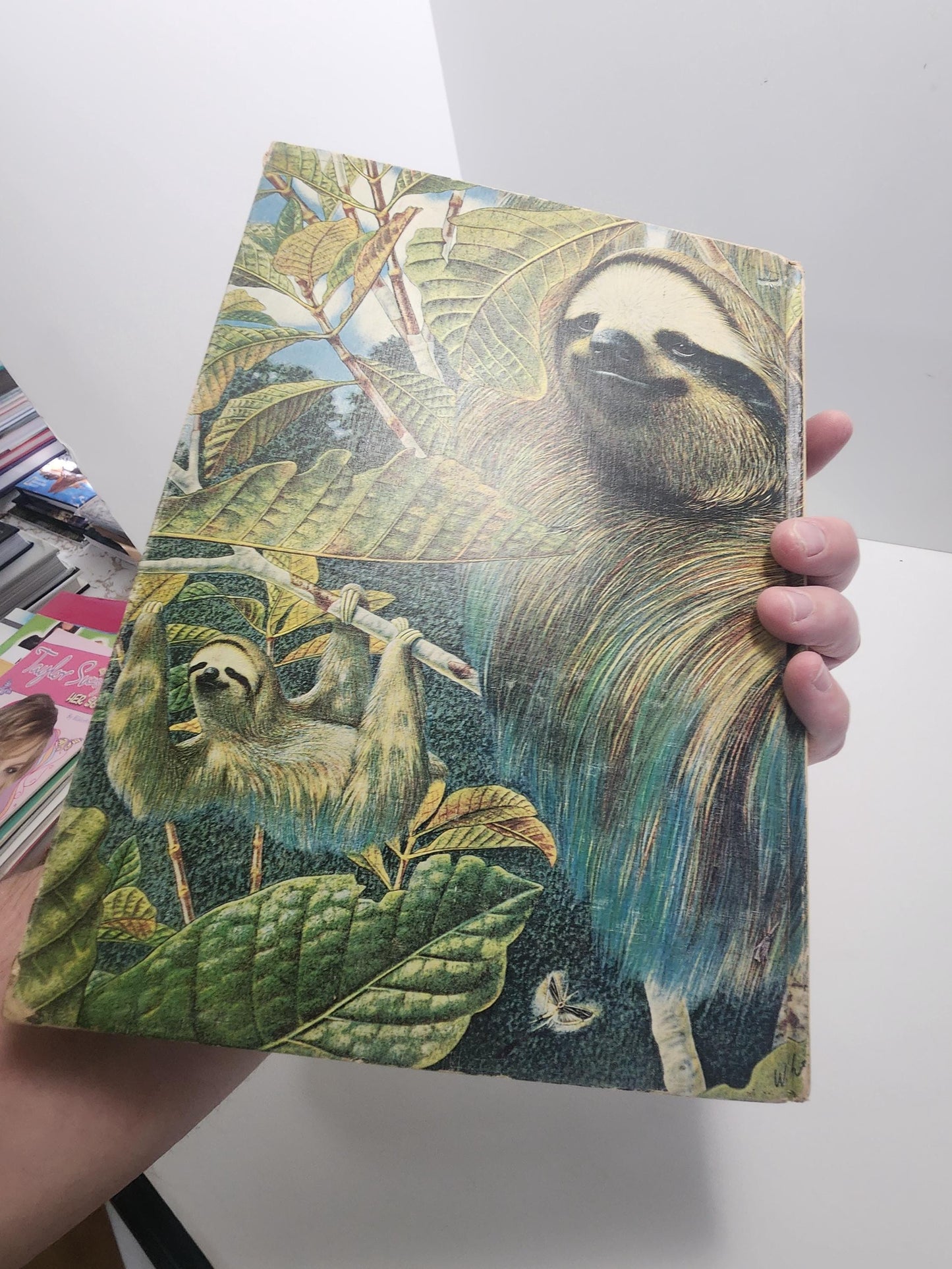 1960's The Wonders Of Life On Earth - Animals - Animal Books - The Wonders Of Life On Earth - 1960's - Animal Gifts - Vintage Books