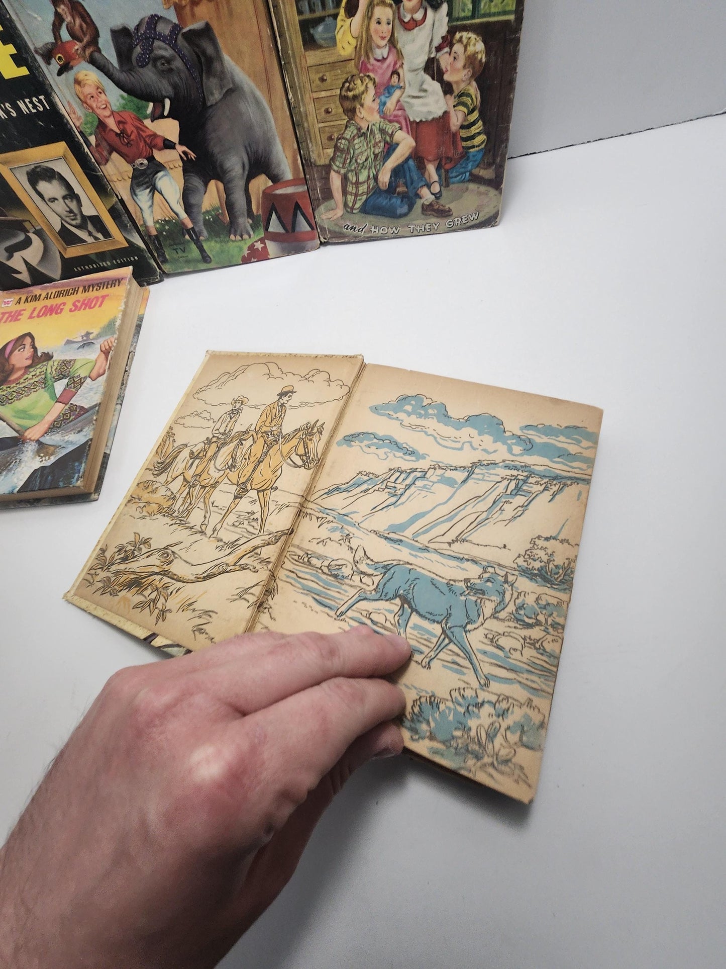 Classic Collection 1950's Vintage Books HUGE LOT - 1950's - Fairy Tales - Story Tales - Classic Books - Lassie - John Payne - Roy Rodgers