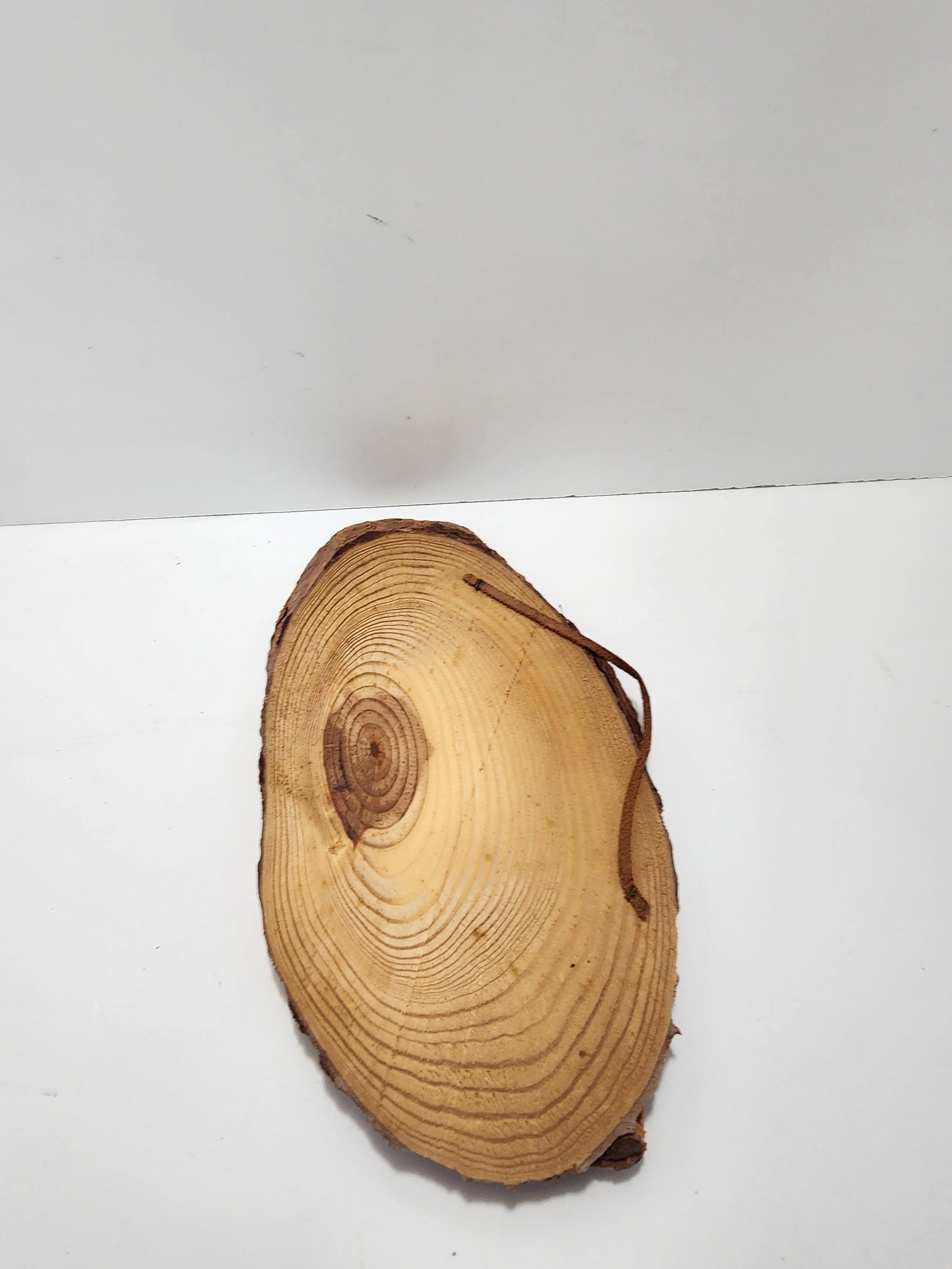 Midcentury National Parks Wooden Decorative Sign Portland Oregon & Mt Hood - Mt Hood - Portland Oregon - Oregon - National Parks