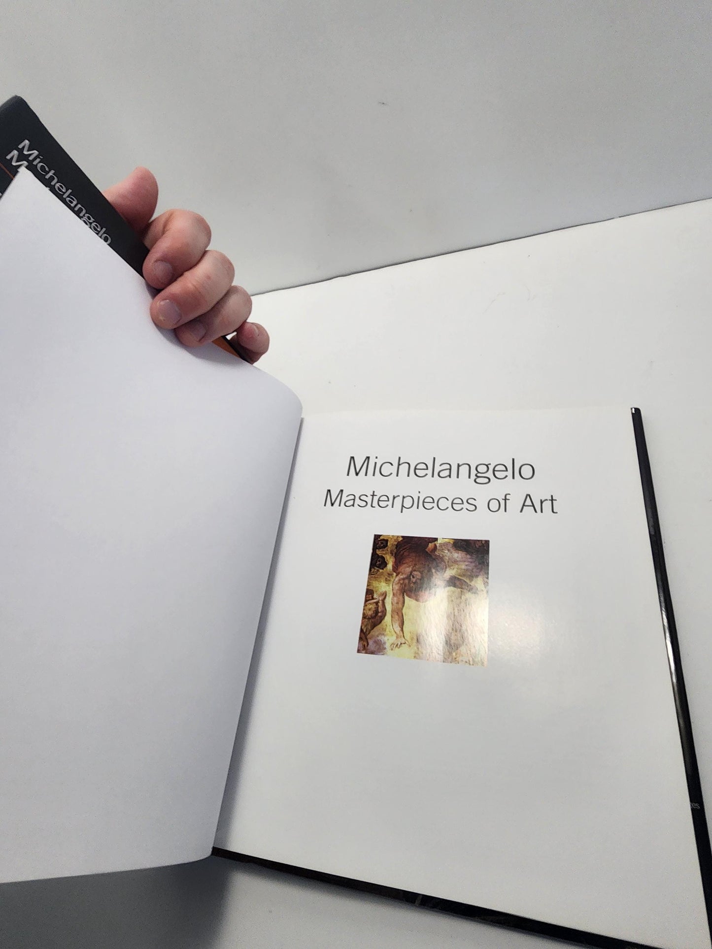 Vintage Michelangelo Masterpieces Of Art Gallery Book - Vintage Books - Gallery - Books - Art - Art Books - Michelangelo - Michelangelo Gift