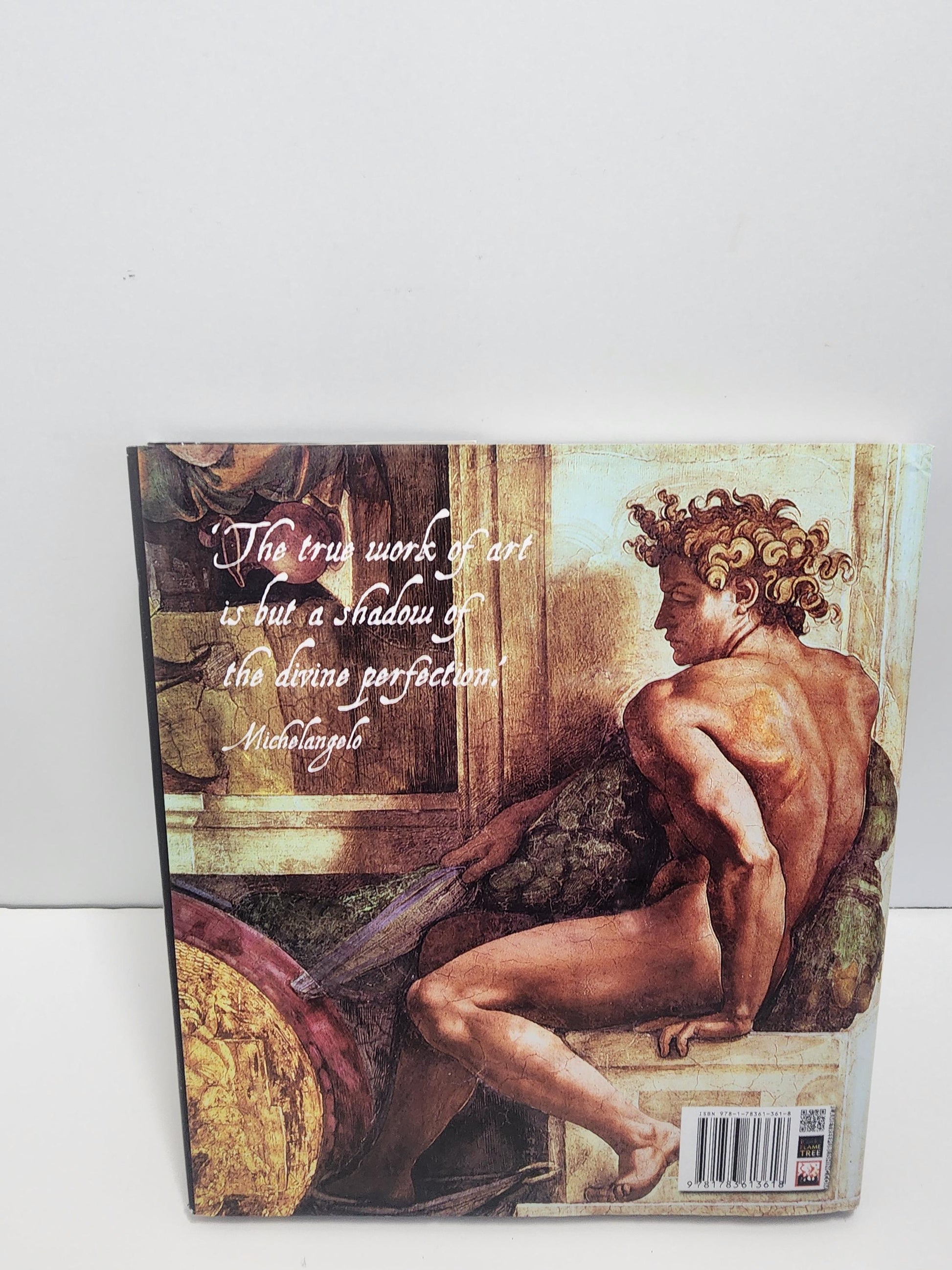 Vintage Michelangelo Masterpieces Of Art Gallery Book - Vintage Books - Gallery - Books - Art - Art Books - Michelangelo - Michelangelo Gift
