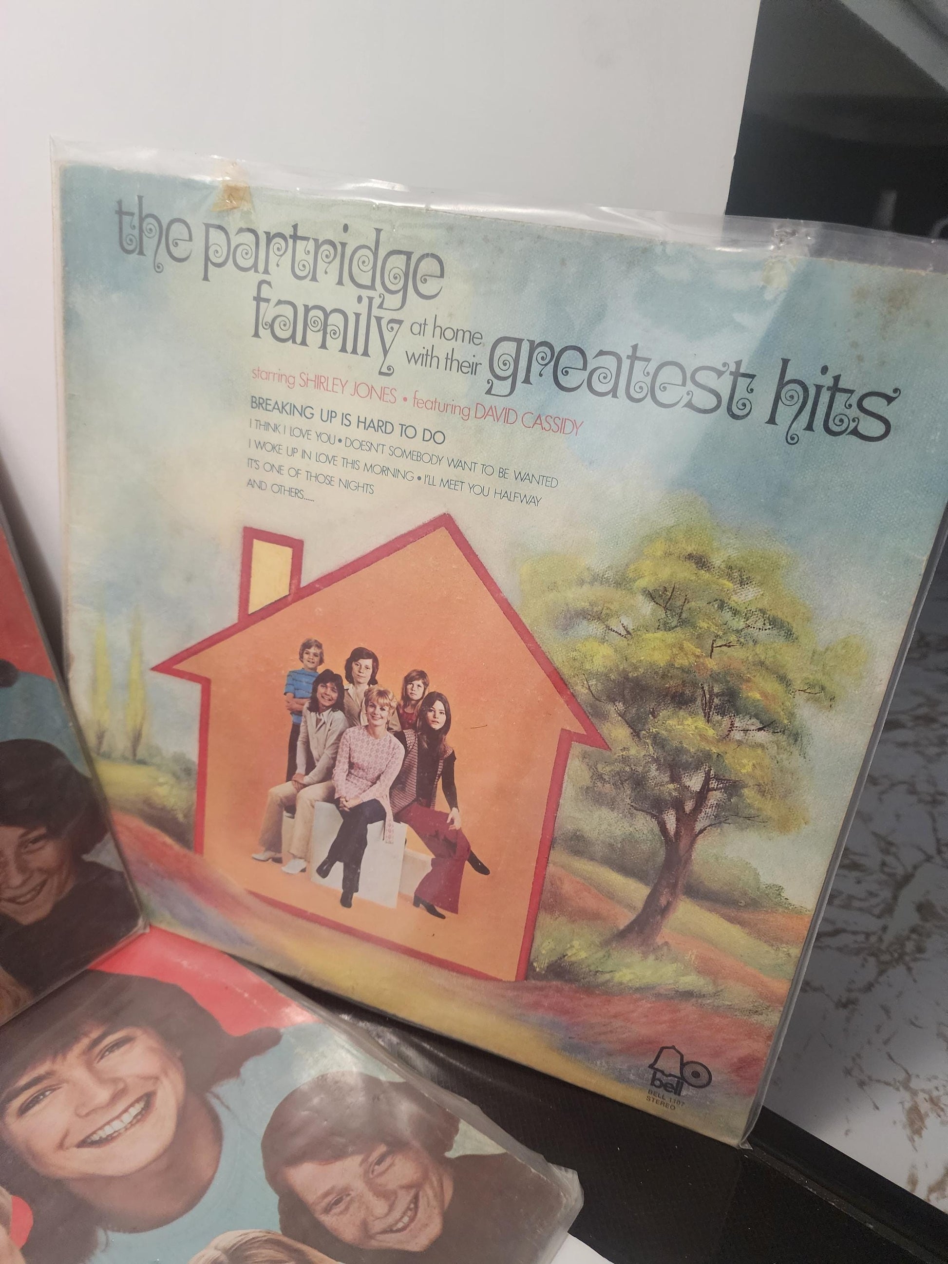The Partridge Family Vintage 1980's Vinyl LP Records LOTS - Records - Vinyl - Vinyl LP Records - The Partridge Family