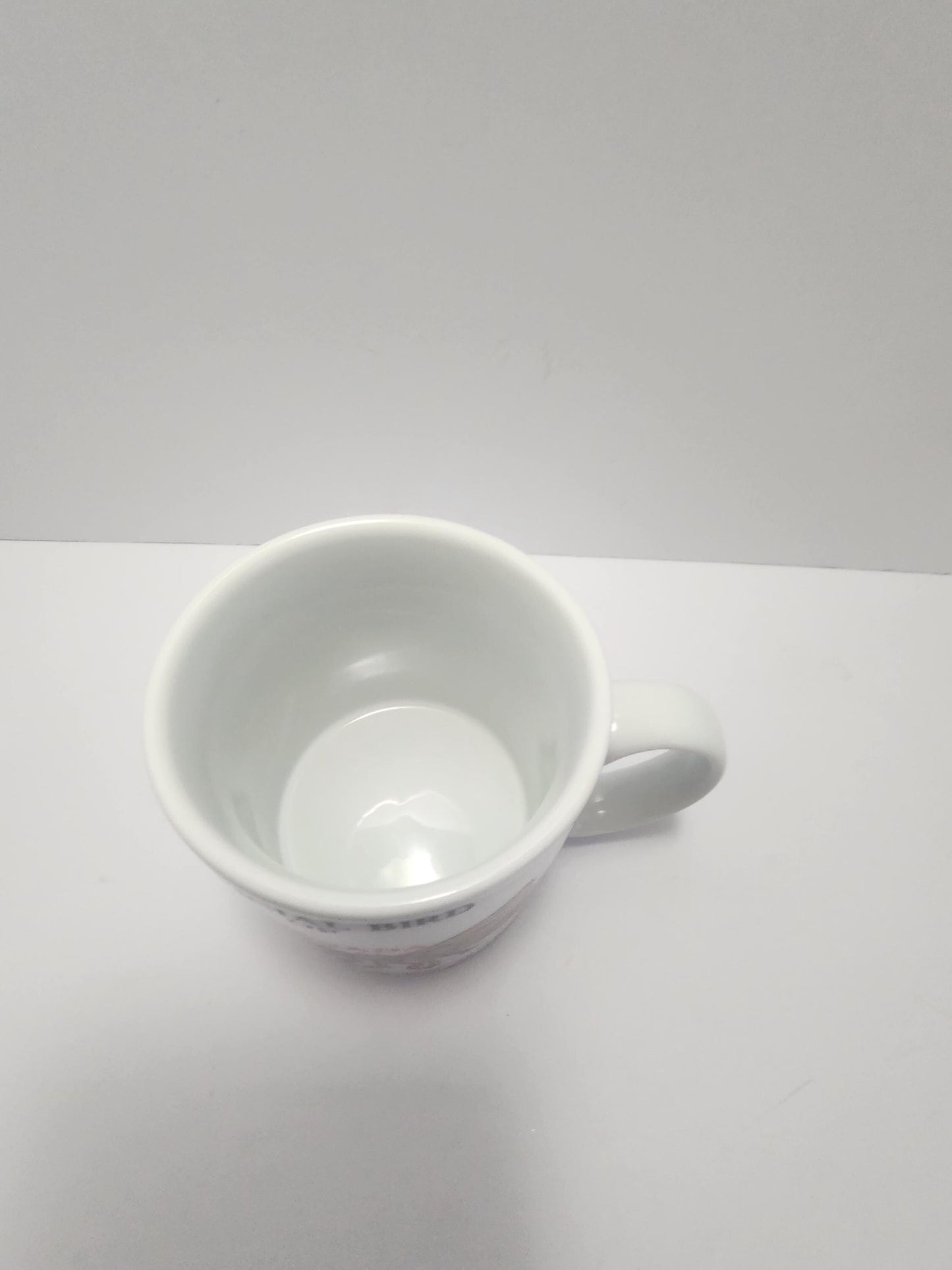 Mosquitoes "The Offical Bird Of Canada" Coffee Mug 1990's - Vintage Mugs - Mugs - Coffee - Gift Mugs - Canada - Mosquitoes - Birds - Gifts