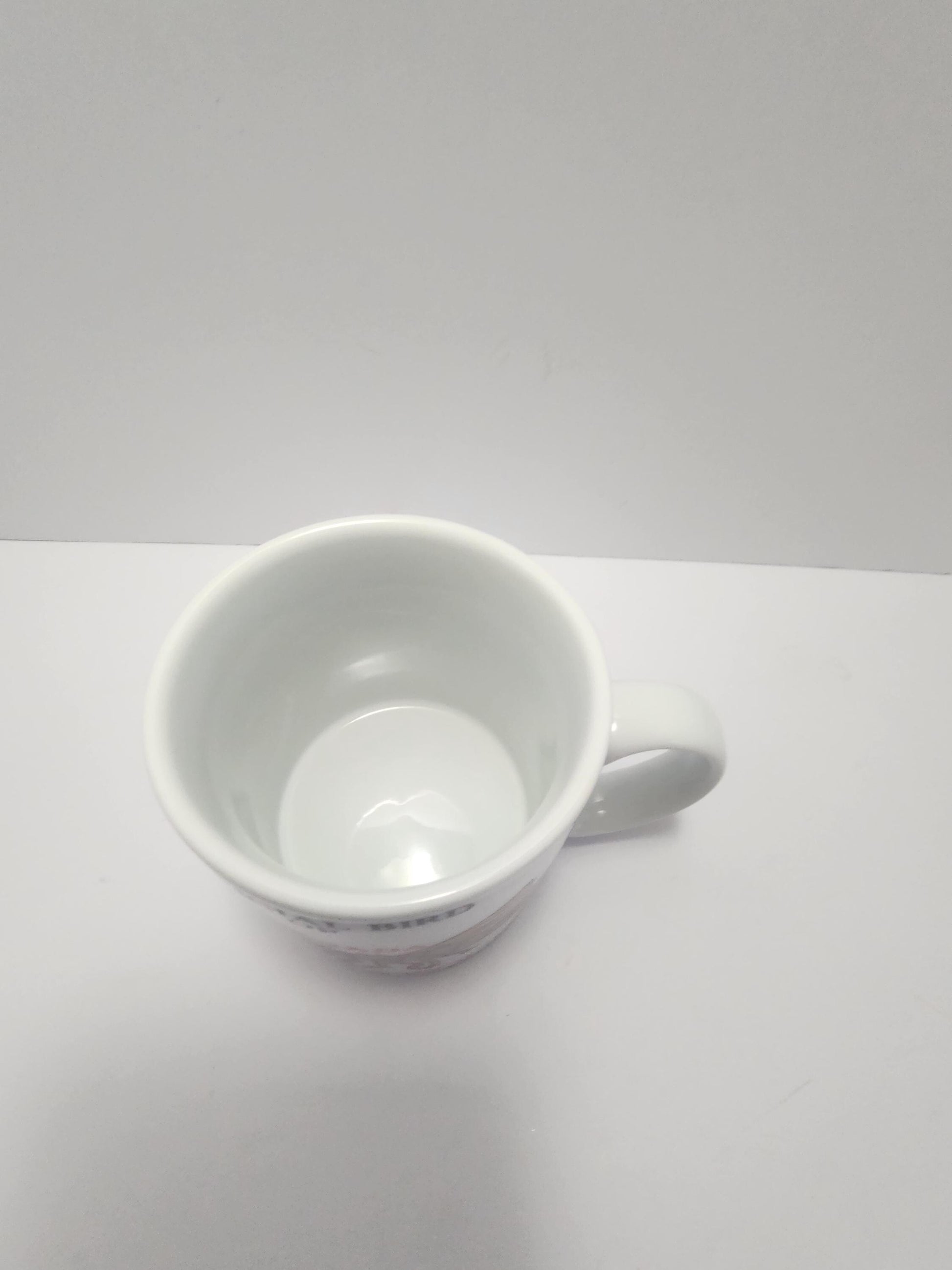 Mosquitoes "The Offical Bird Of Canada" Coffee Mug 1990's - Vintage Mugs - Mugs - Coffee - Gift Mugs - Canada - Mosquitoes - Birds - Gifts