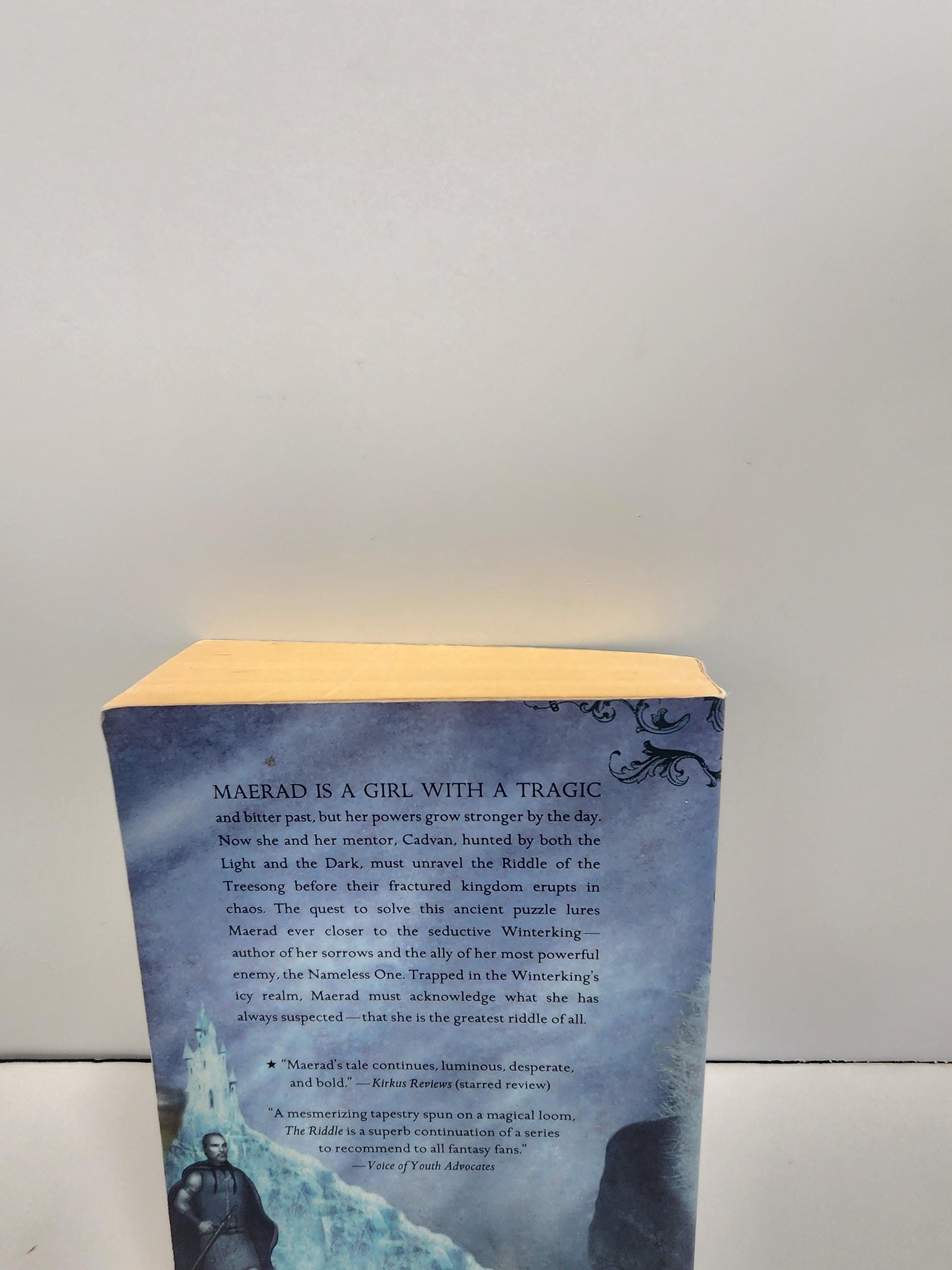 The Riddle Book from Pellinor Book Series - Series - Book Series - The Riddle - Riddle Book - Pellinor - Pellinor Books - Pellinor Book Seri