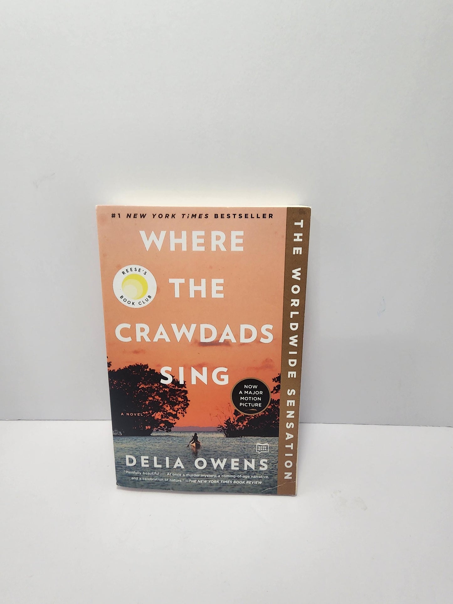 Where The Crawdads Sing Book By Delia Owen's- Delia Owen's- Delia Owen's Books - Netflix - Netflix Movies - Movies - Book Movies