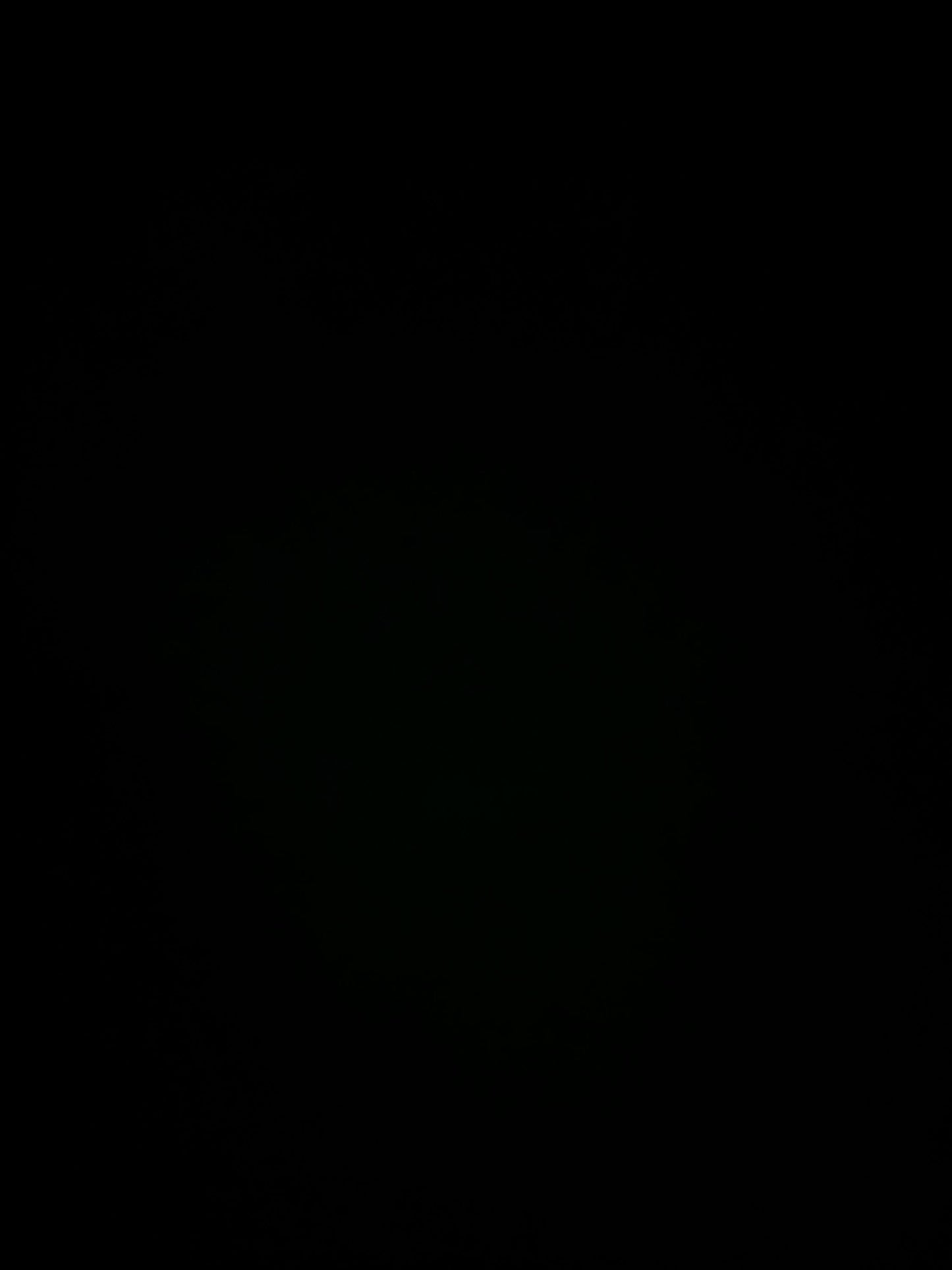 Music Of Ecstasy Volume 2 1970's Vinyl Lp Record Box SET - Music - Vintage Music - Music Of Ecstasy - Vinyl - Vinyl Records - Vinyl LP Recor