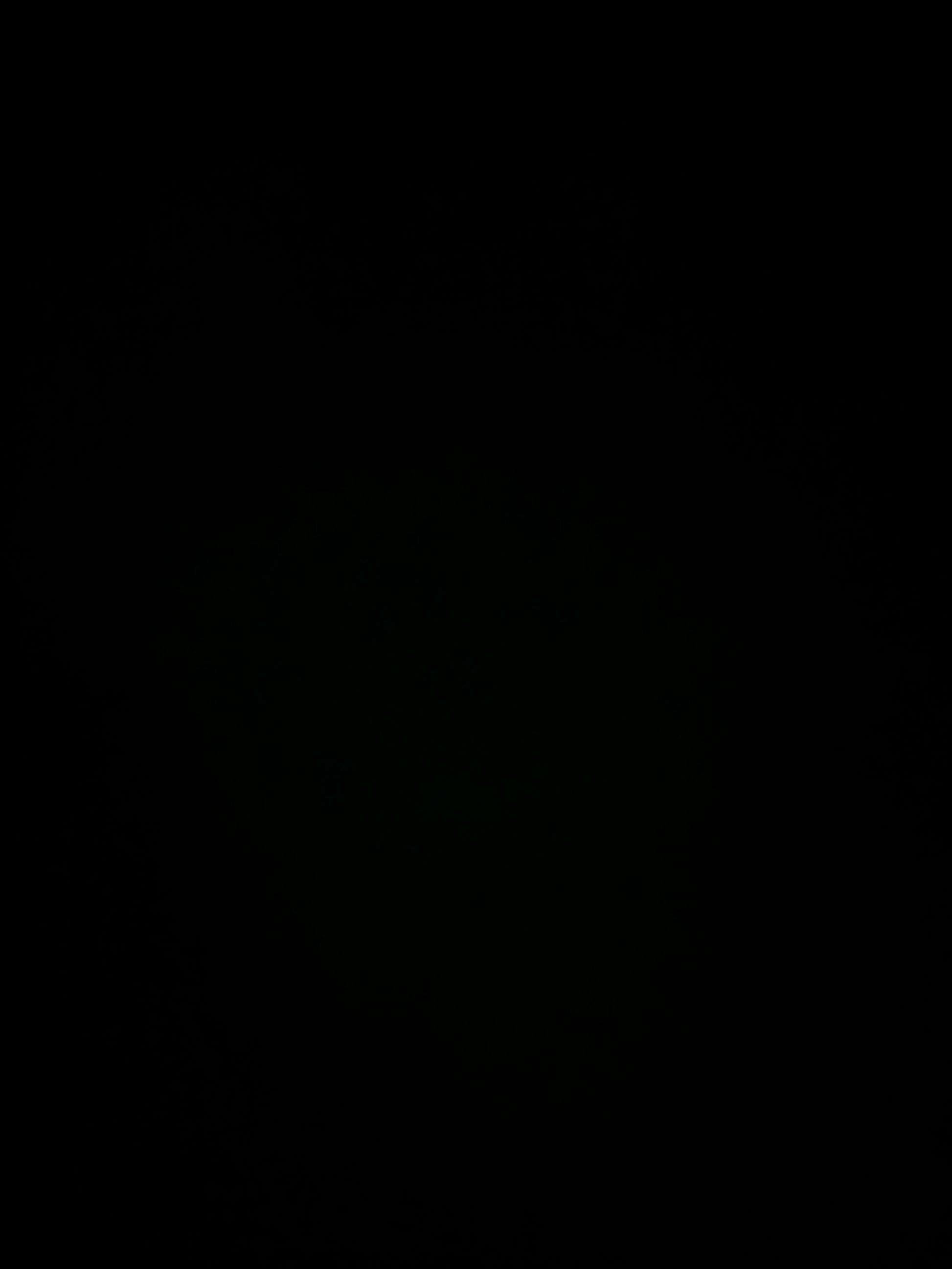 Music Of Ecstasy Volume 2 1970's Vinyl Lp Record Box SET - Music - Vintage Music - Music Of Ecstasy - Vinyl - Vinyl Records - Vinyl LP Recor