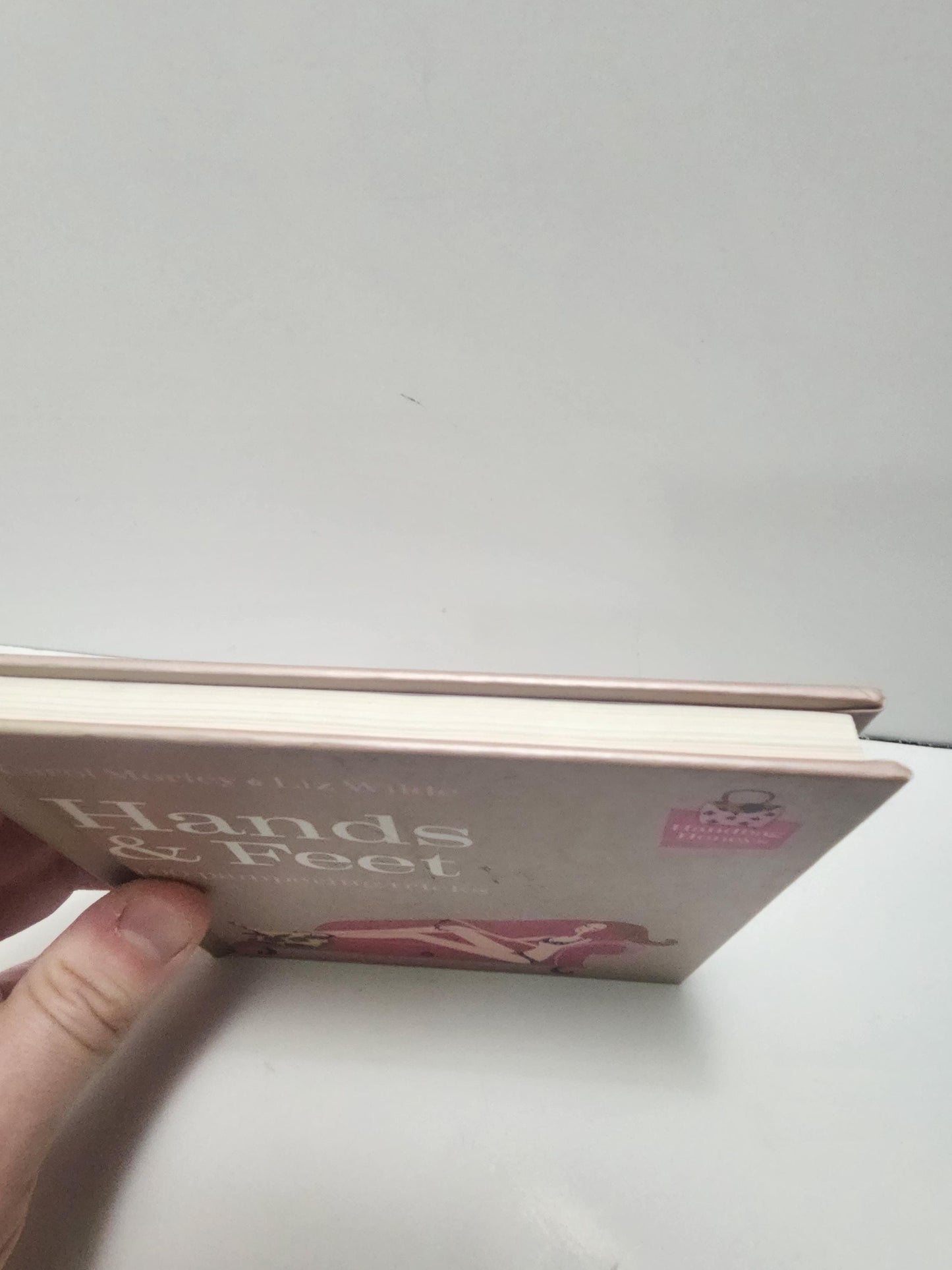 Hands & Feet Pampering Guide Book By Carol Morley and Liz Wilde - Carol Morley - Liz Wilde - Hands and Feet - Pampering - Gift For Couples