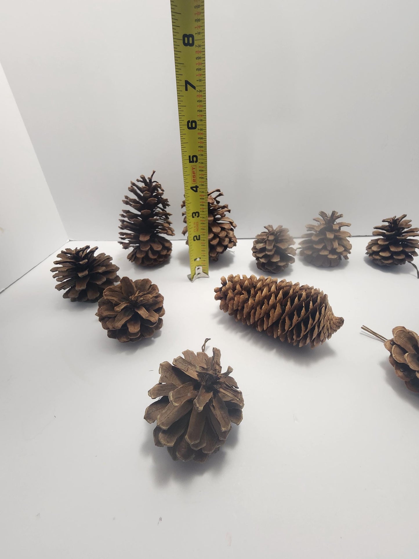 Decorative Pinecones LOT - Decorations - Decor - Outdoors - Pinecones - Christmas - Christmas Decorations