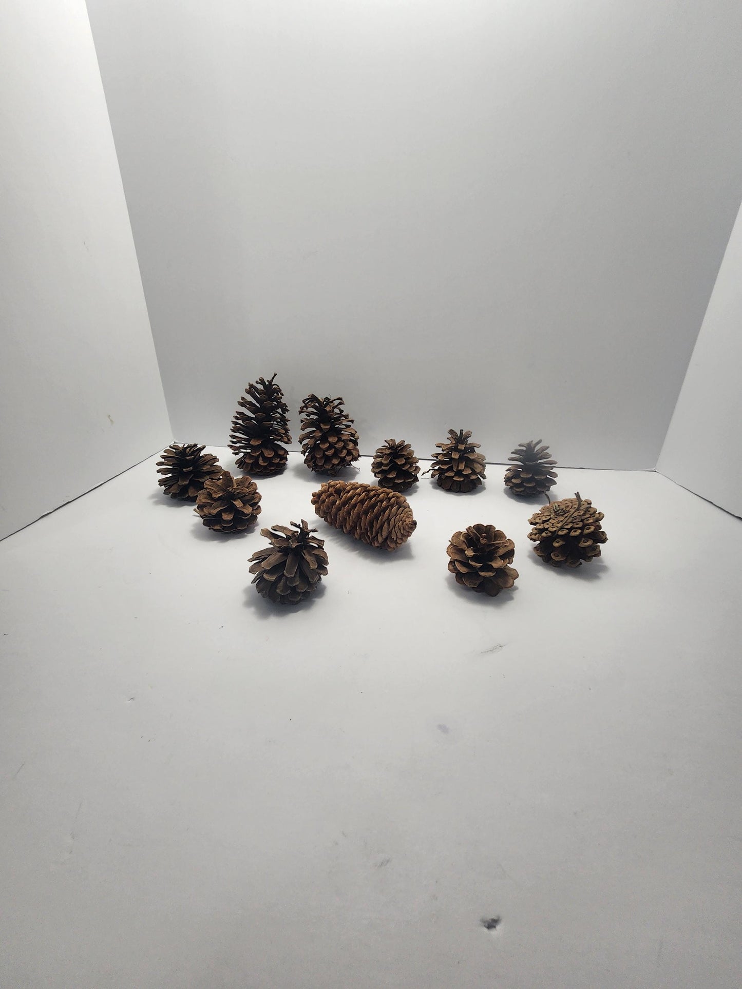 Decorative Pinecones LOT - Decorations - Decor - Outdoors - Pinecones - Christmas - Christmas Decorations