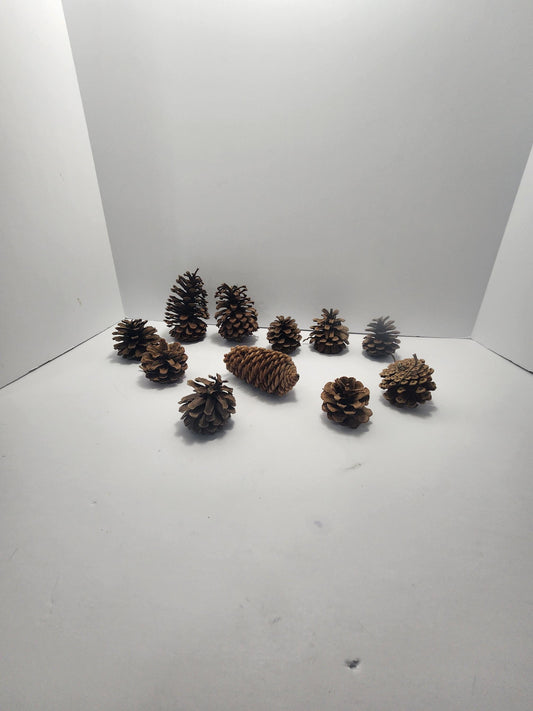 Decorative Pinecones LOT - Decorations - Decor - Outdoors - Pinecones - Christmas - Christmas Decorations